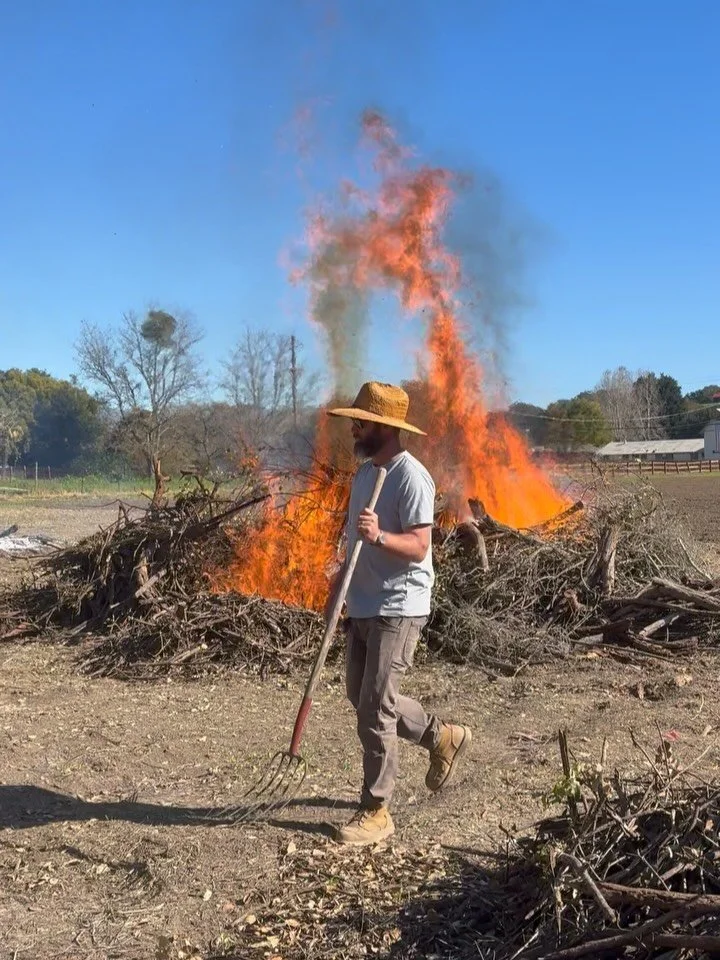 We had a burn day this week after pruning the oak trees and clearing the dead understory. Fire is cleansing, making room for new growth. 

We&rsquo;re working hard to create a sanctuary not just for us, but for our community. A safe space where every