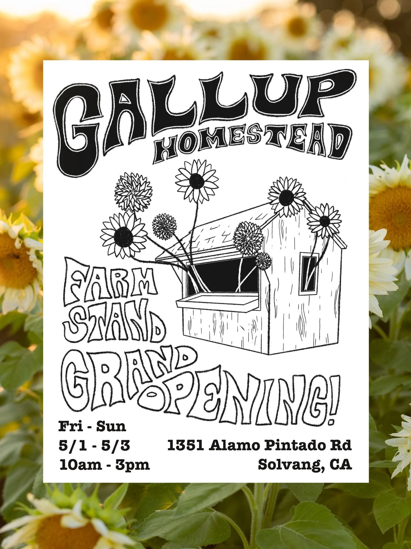 Big news! Our farm stand will officially be opening in a month, on May 1st!! 
We&rsquo;ll be stocking it with dried flower bouquets, wreaths, garlands, baked goods, dahlia tubers, and some flower starts! 🌸🌱✨

Find us at: 
1351 Alamo Pintado Rd
Solv