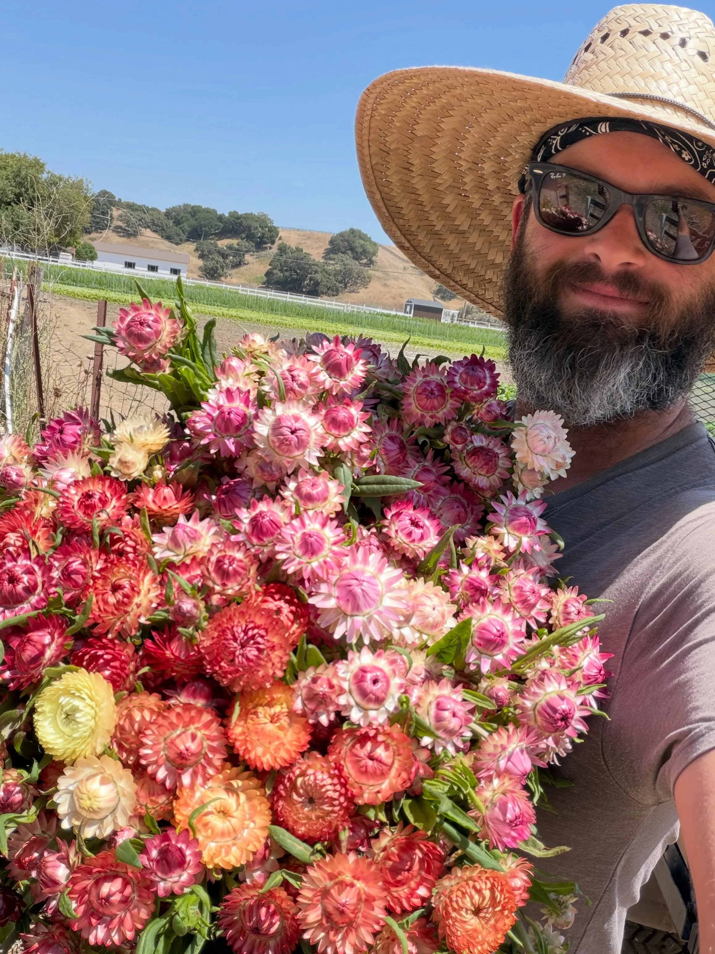 Our field is getting more colorful these days! Feels good to be harvesting regularly again after a long break ☺️🌸