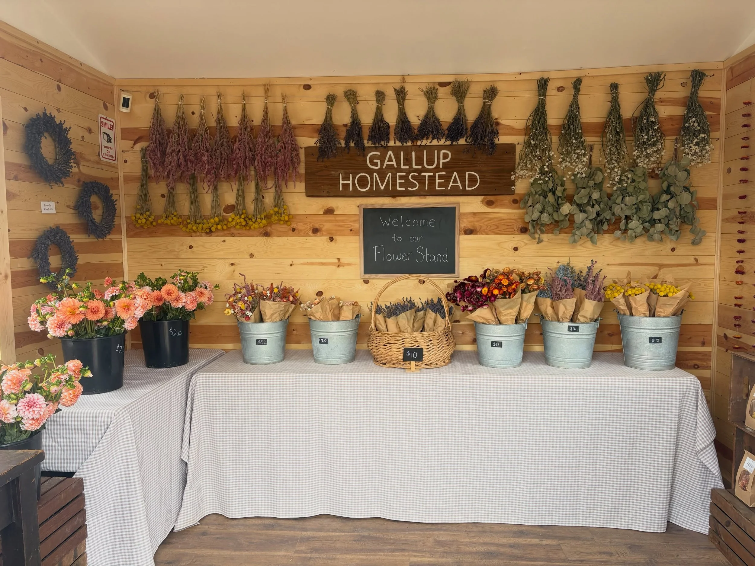 Happy 1 month of our flower stand being open!! 🌻🌸

We&rsquo;ve gotten such a warm welcome from our community and countless people have said they&rsquo;ve enjoyed seeing the progress of things happening on the farm. It feels great to be able to shar