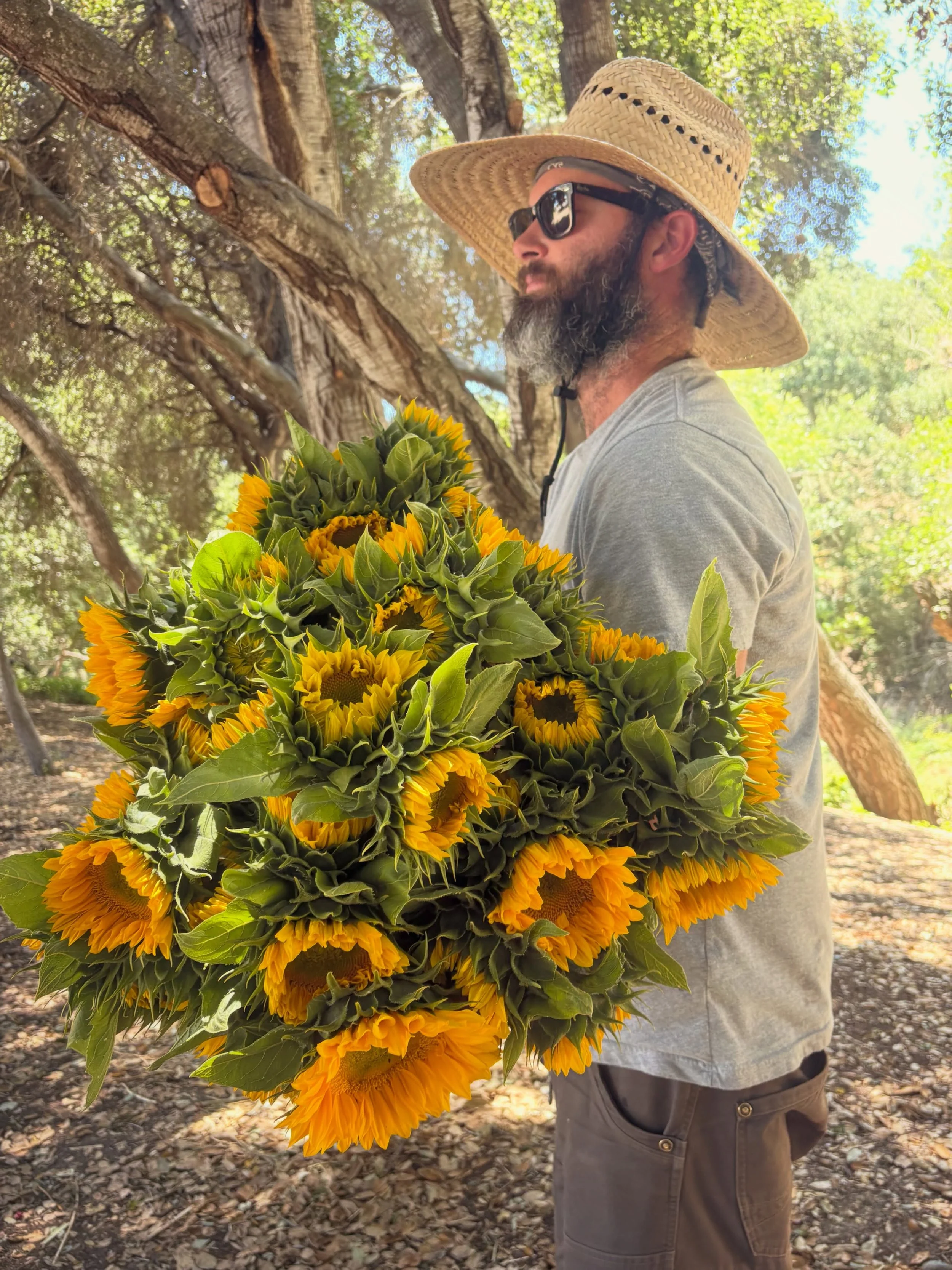 Fresh restock of sunflowers, dahlias and mixed bouquets at the flower stand! Check out our cute new display rack too!🌻🌸

Come by and grab yourself some locally grown flowers!

Open DAILY 
Mon-Fri 8am-3pm
Sat-Sun 10am-3pm

1351 Alamo Pintado Rd
Solv