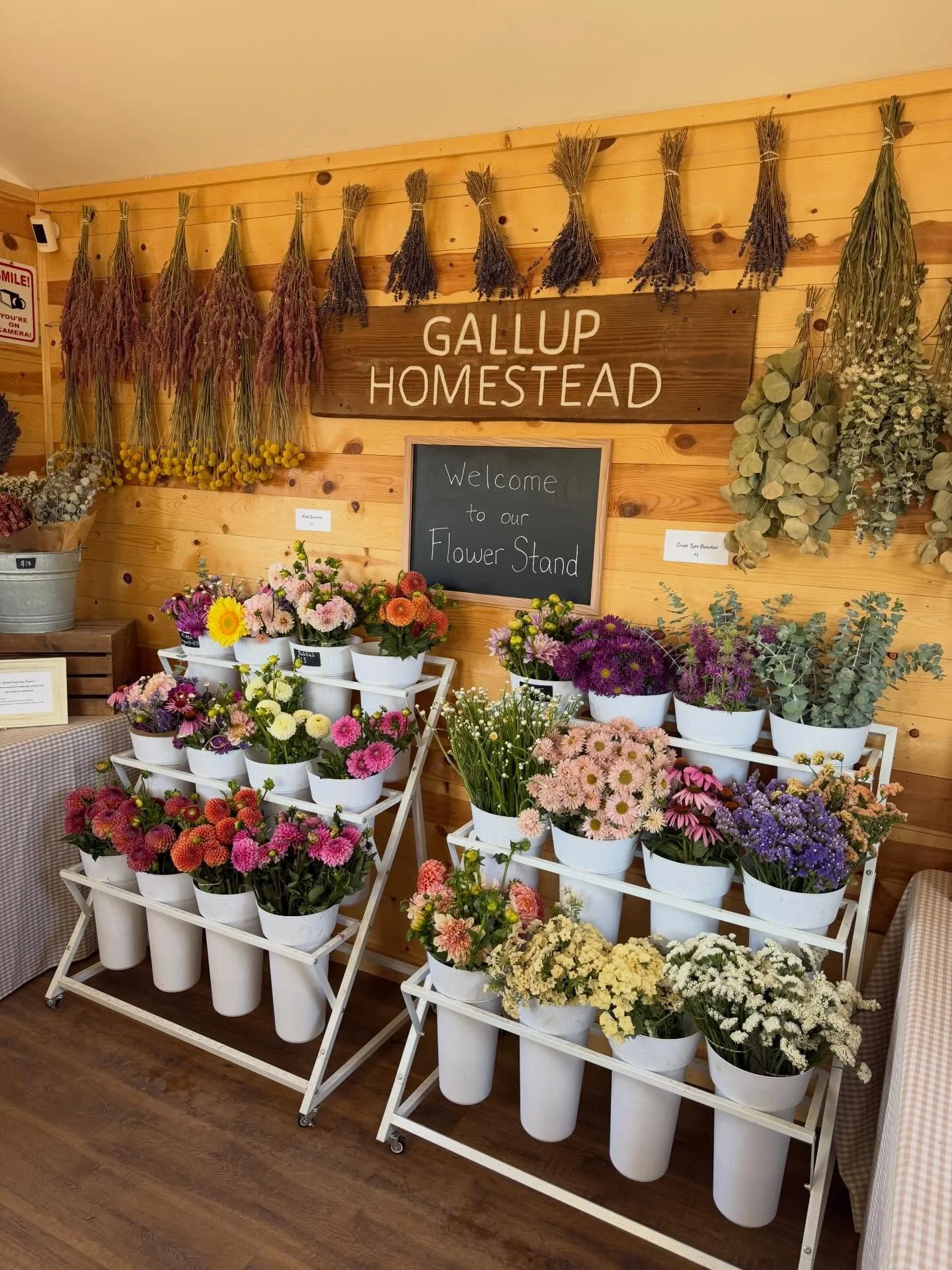 Restocked and refreshed for the hot week ahead. We have ac now so come on in and enjoy the flowers 😊

#flowerfarm #homestead #farmstand #flowerstand