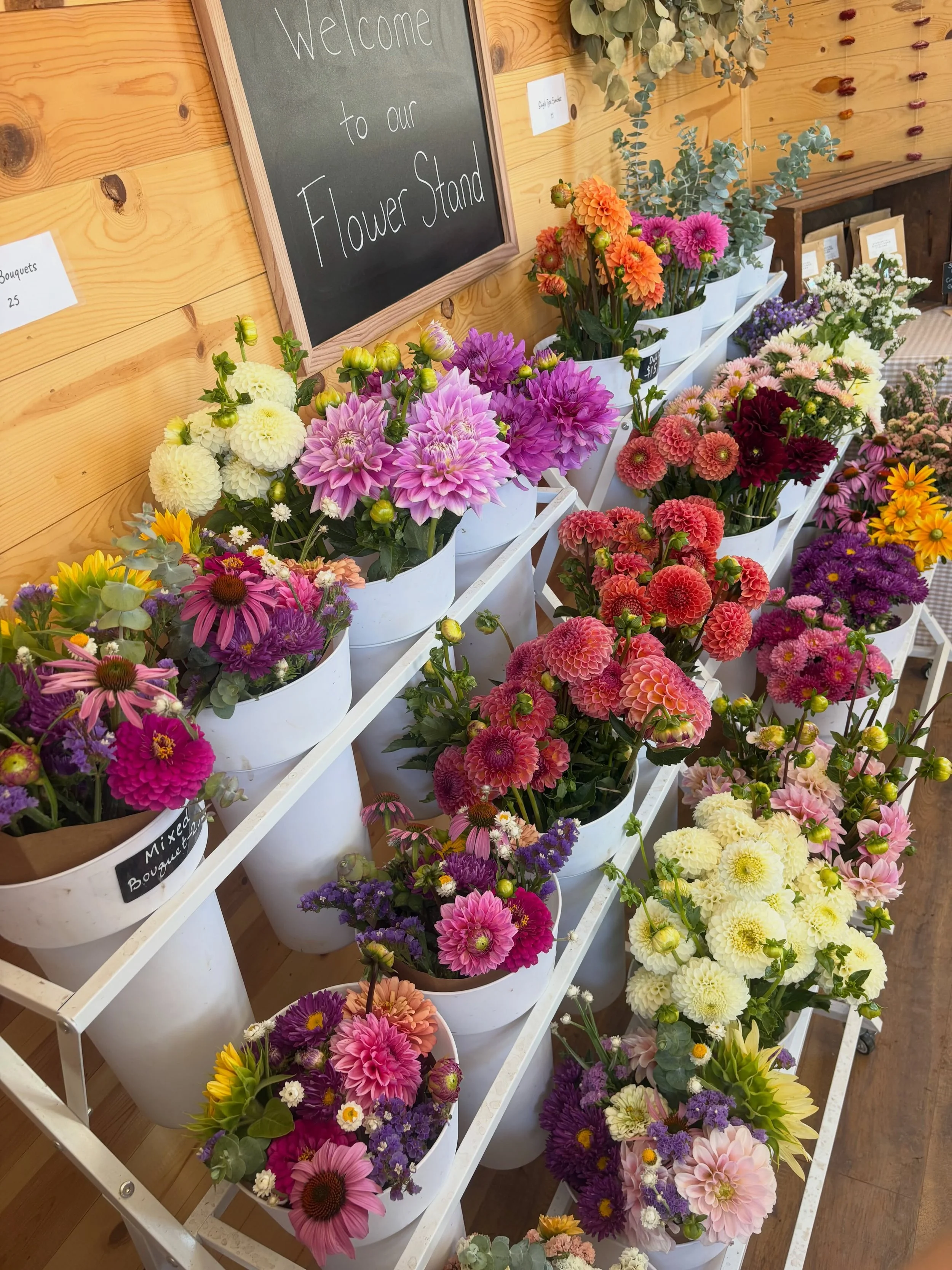 Our flower stand is stocked and filled with so many colorful blooms all grown here on our small farm 🌸🌈

Come by the stand and absorb the happiness from our wall of bright flowers, the subtle sweet scent, and make sure to say hi to our little bee f