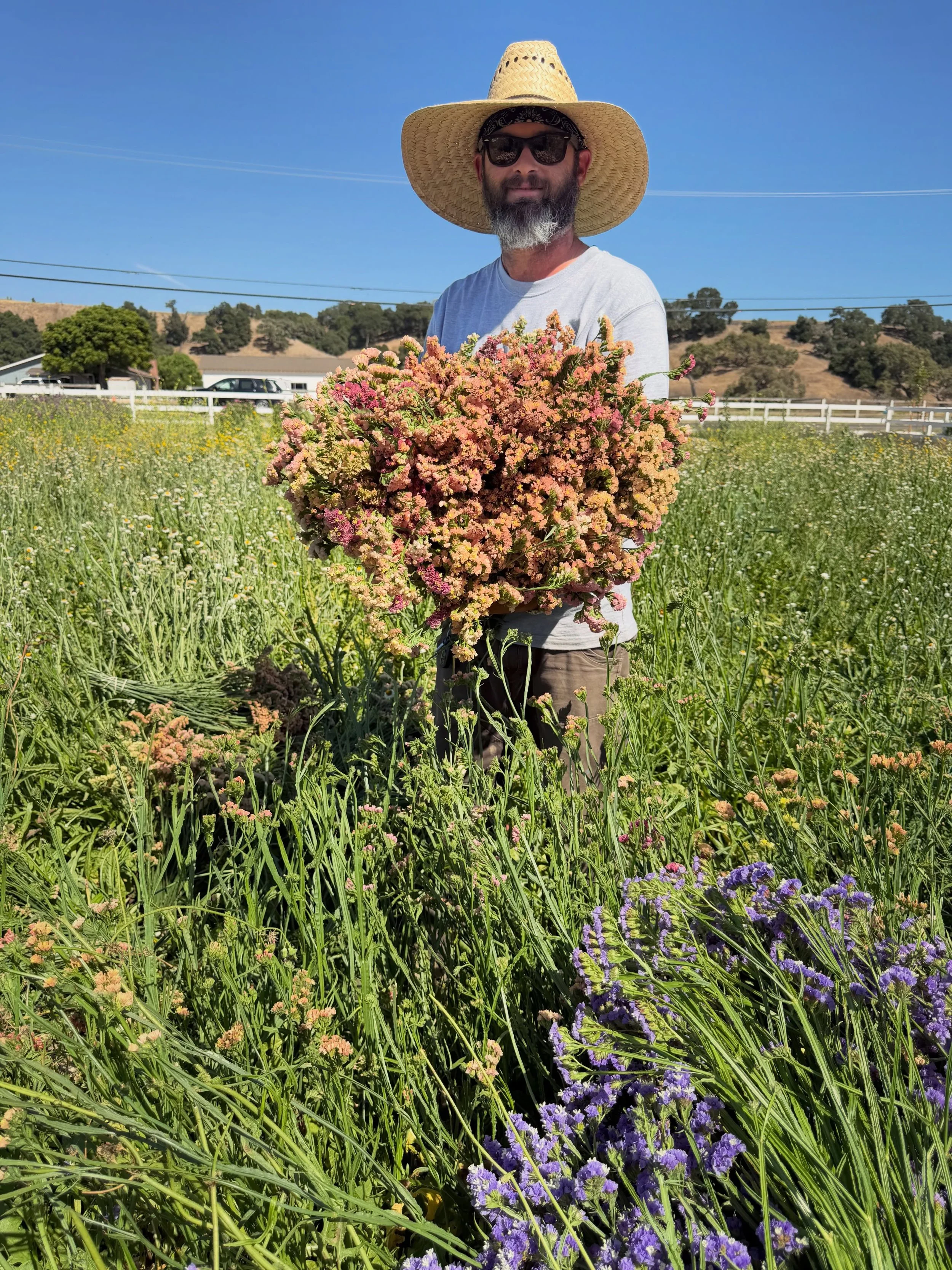 It&rsquo;s been hot hot hot this week on the farm (and basically everywhere else), but our flowers still have to be harvested. Shoutout to Michael and our employee David for withstanding 100&deg; weather while picking lots of flowers for drying. 

St
