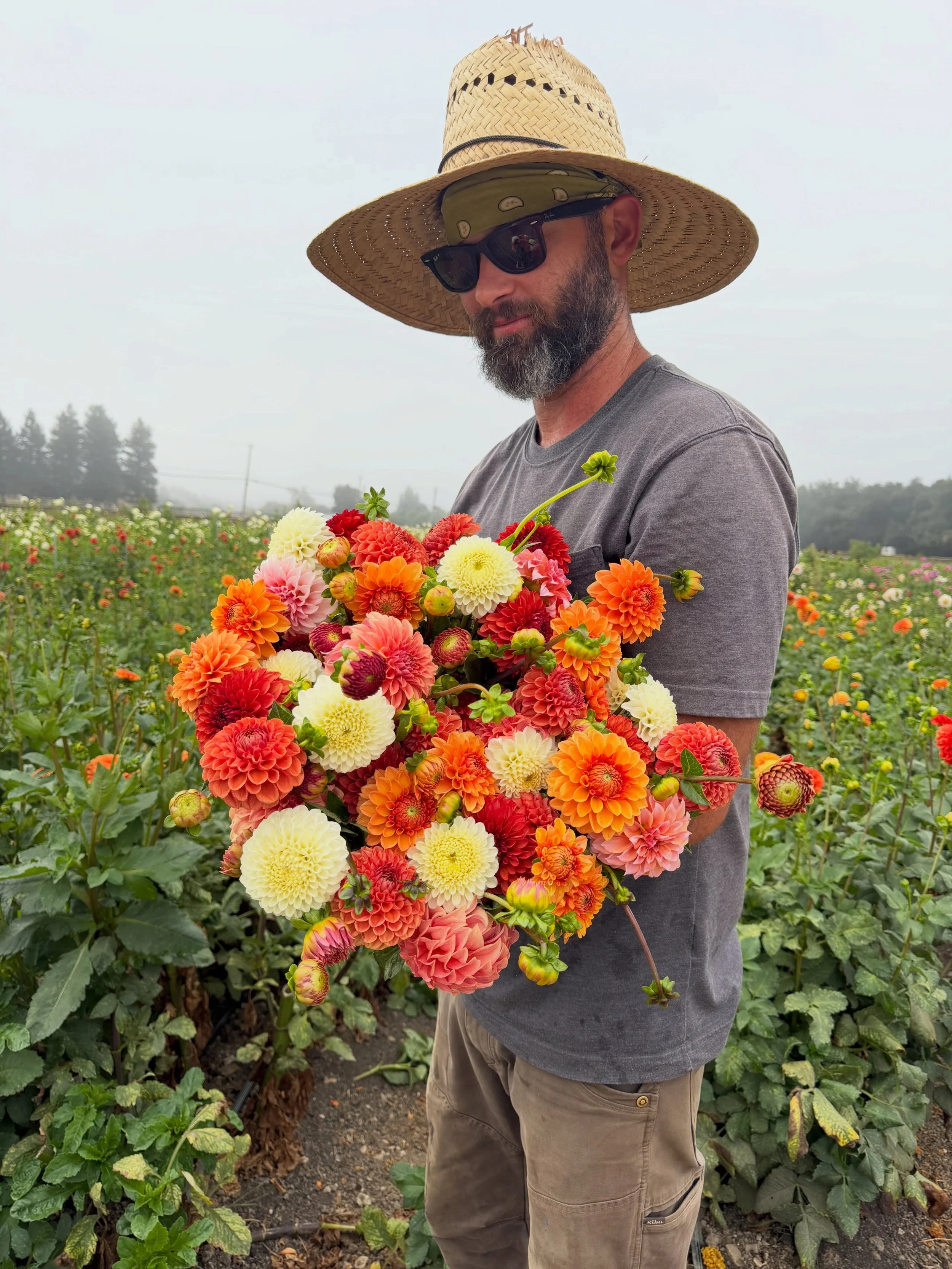 The first week of Fall 🍁 
- Autumn shades of flowers restocked at our flower stand and local grocery stores
- A fun outing at @buttonwoodwinery for a promo photoshoot
- Last weekend we treated ourselves to a quick camping trip in the Eastern Sierras