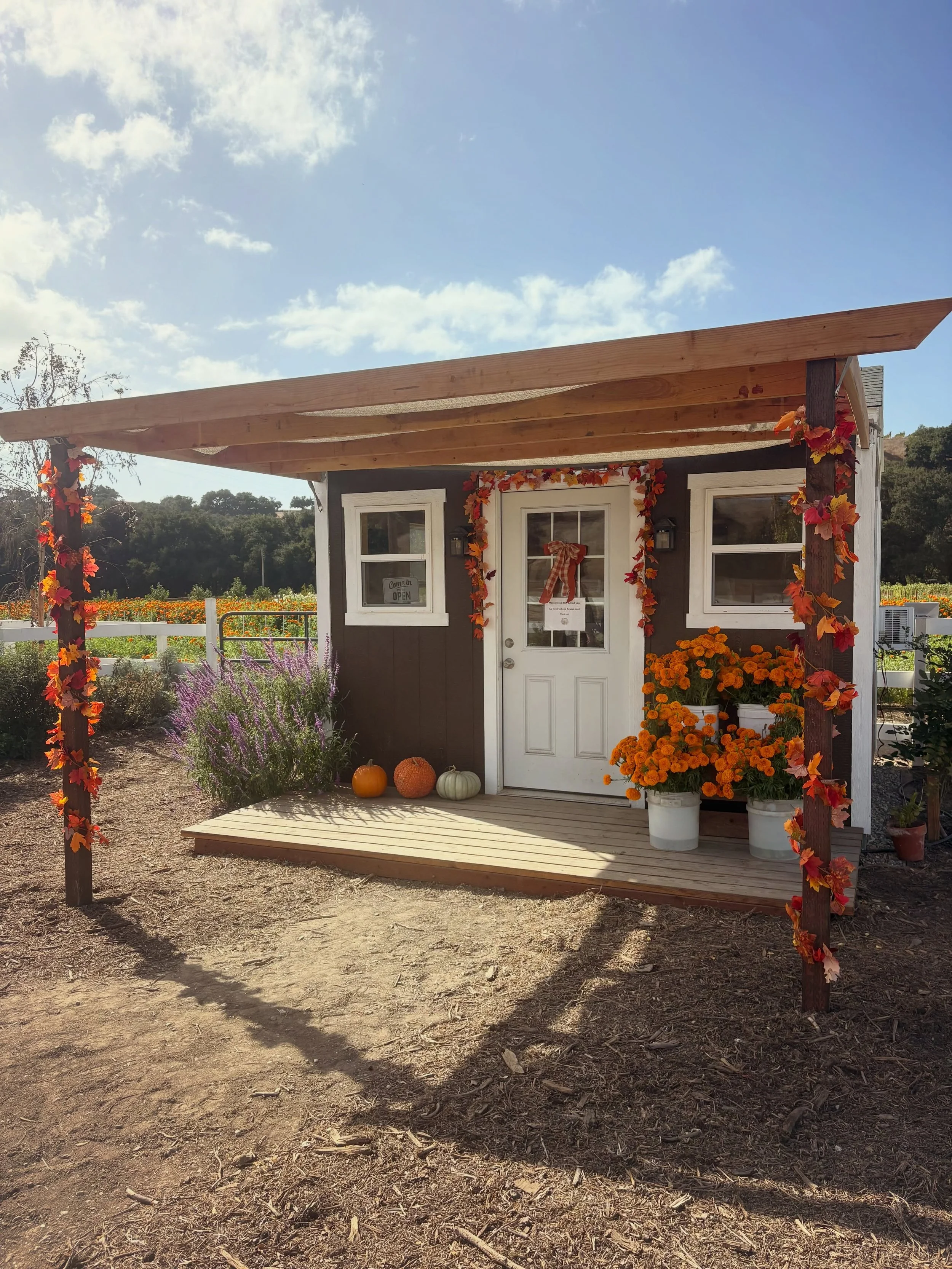 A Hallmark inspired Fall at the Flower Stand 🍁🍂🌻 
This time of year is so magical and wholesome in the valley with the pumpkin patches, farmstands full of seasonal produce and flowers, vineyards busy harvesting, shops with Fall themed items, harve