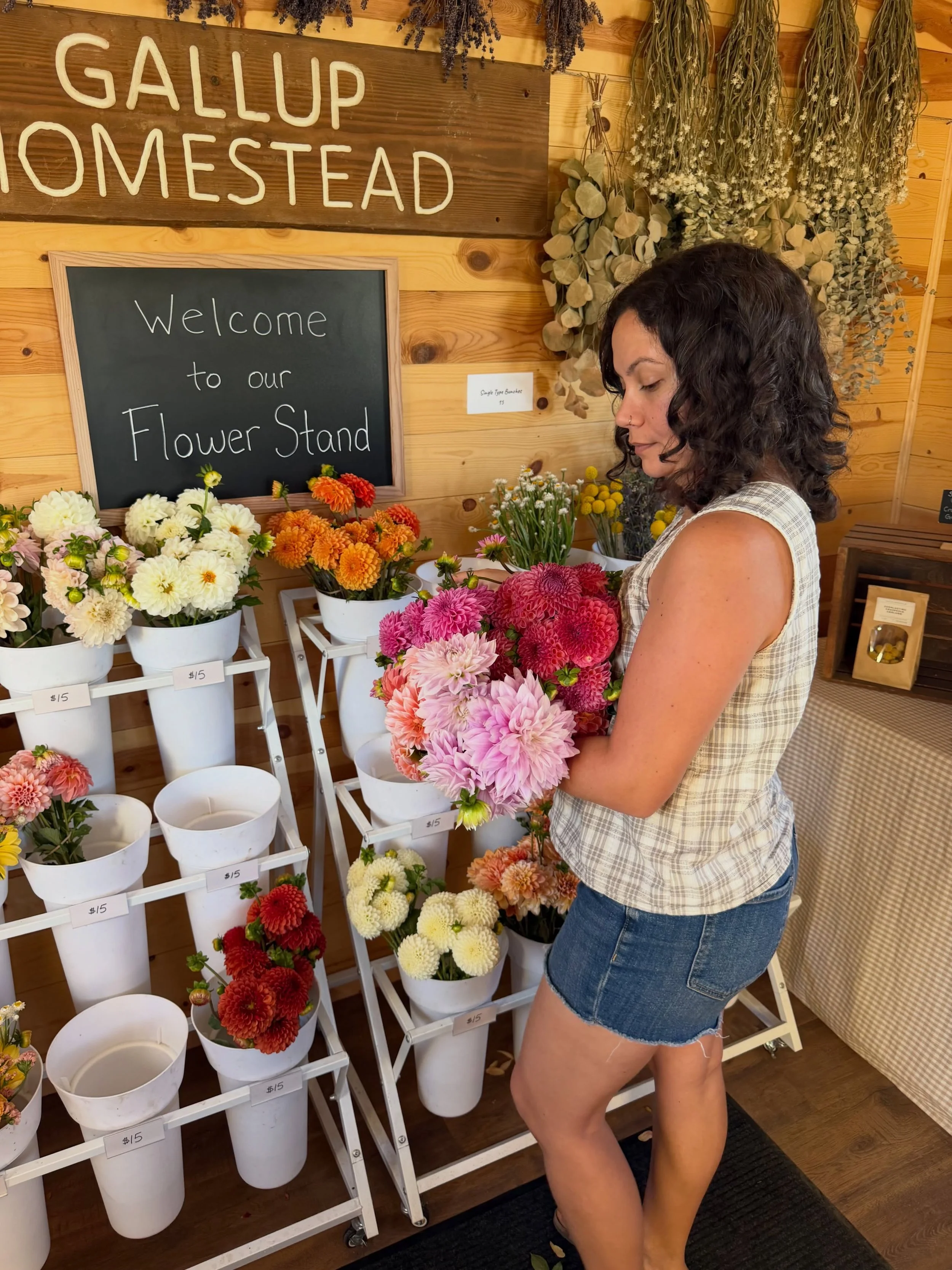 October magic 🏵️🌸🌻 Feeling the shift as we approach the end of the main growing season (and the end of our dahlias). In the meantime, we&rsquo;re enjoying the bounty and beauty all around ✨