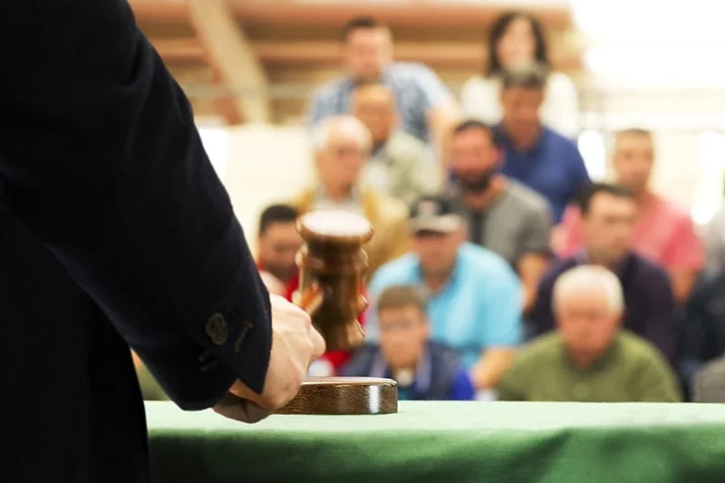 Bidding at an auction: Tips and tricks for Queensland Farmers