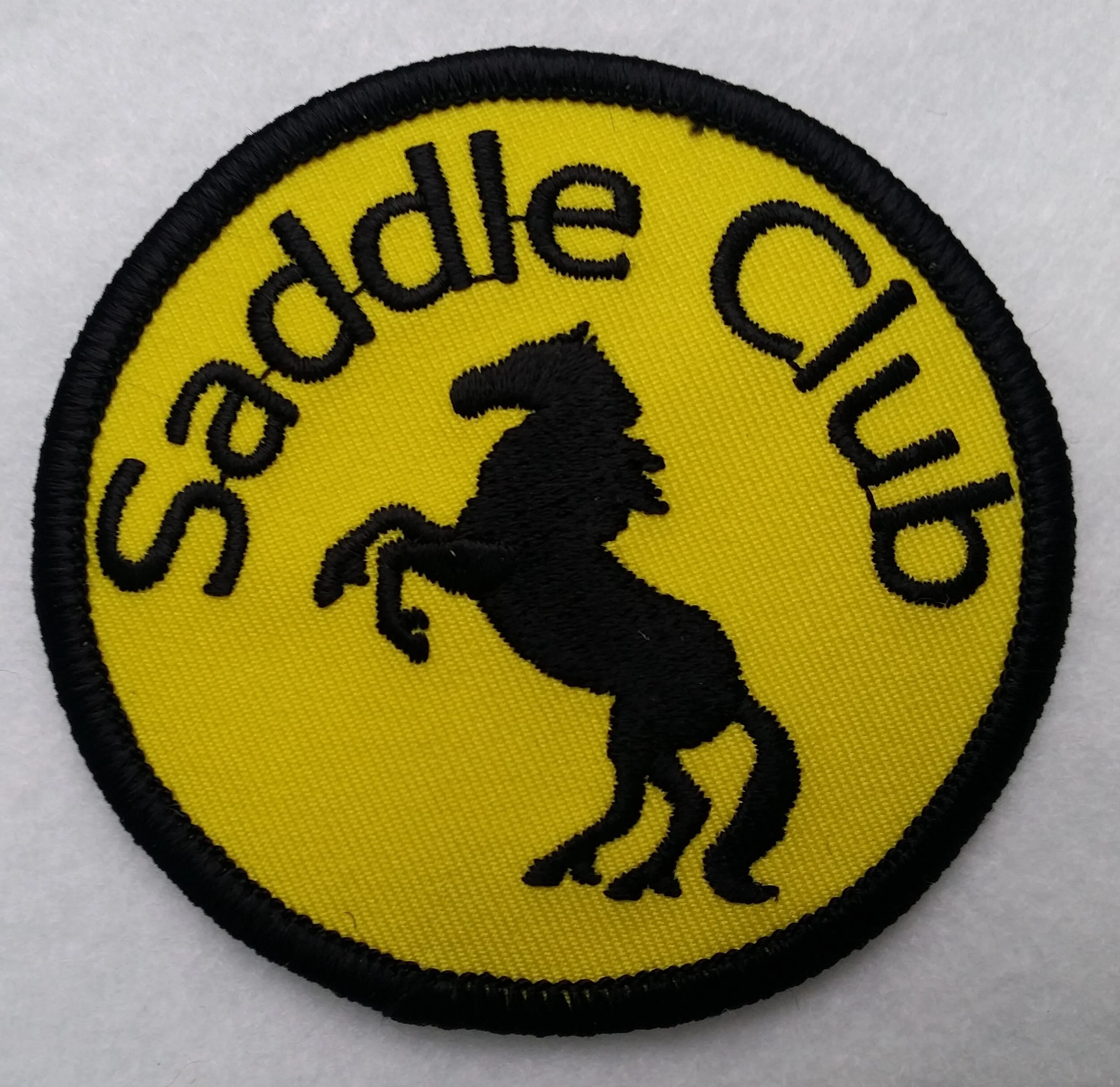 Club and community groups 7 Saddle Club.jpg