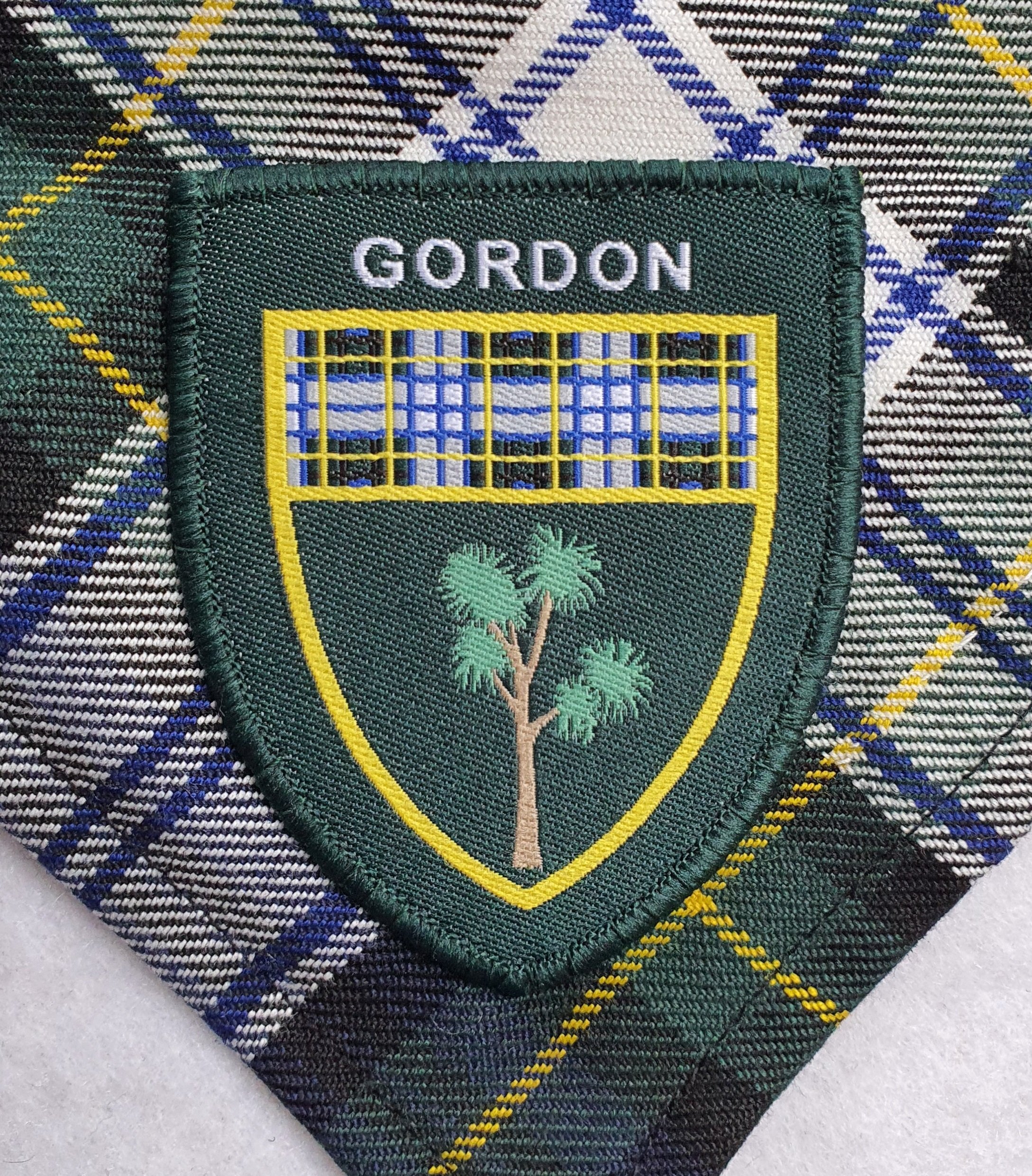 Gordon Group scarf and badge 2.jpg