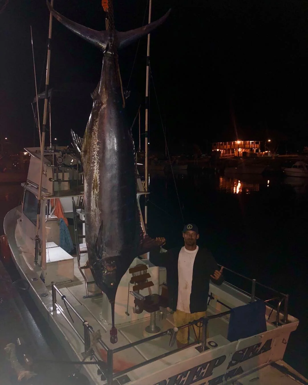 Large Blue Marlin