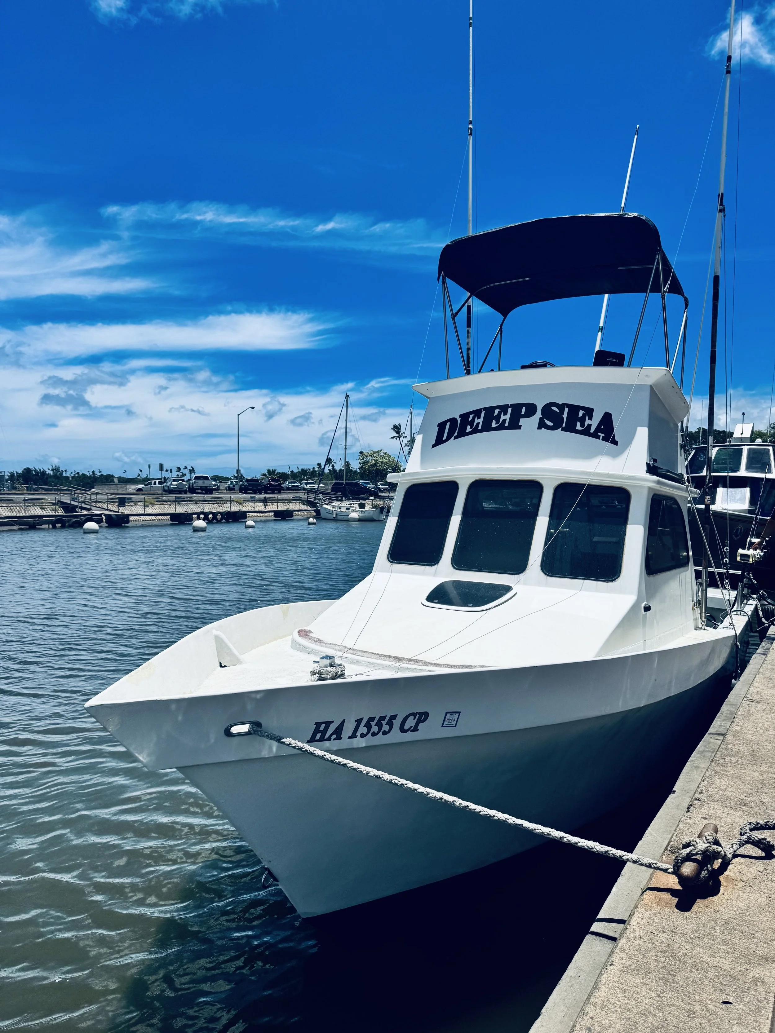 Deep Sea Fishing Charter Boat