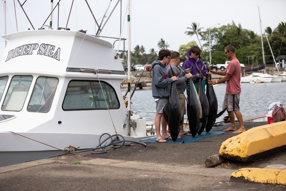 Deep Sea Sportfishing Hawaii, Haleiwa, Oahu