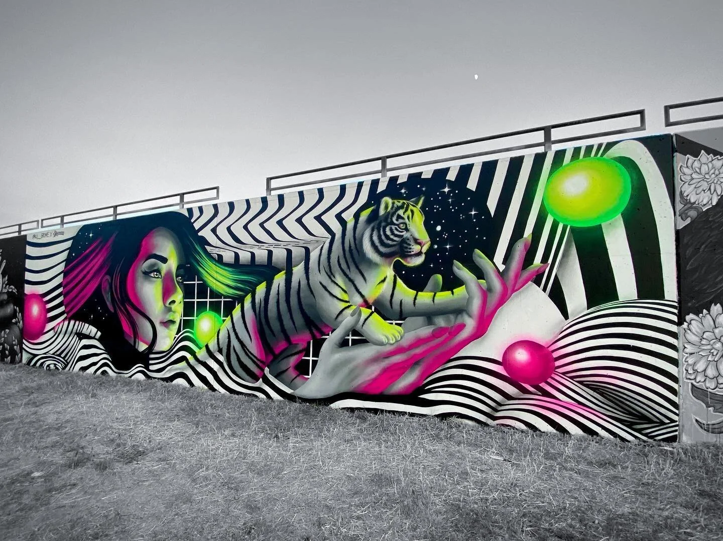 // Babe Walls 2021// collab with @thedesignosaur // 

// for this piece, we wanted to create a tribute to the feminine strengths of humility, nurturance, and empathy // the white tiger is a guardian archetype, representing rare beauty , strength, and