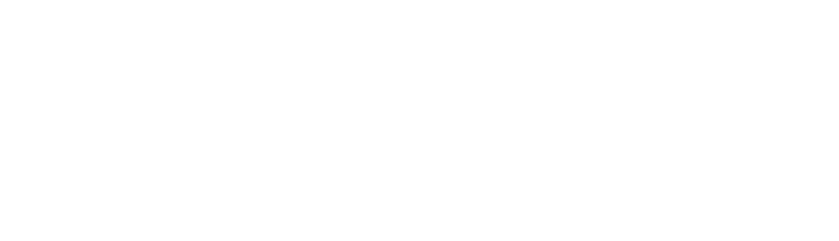 The Cult Film Collective