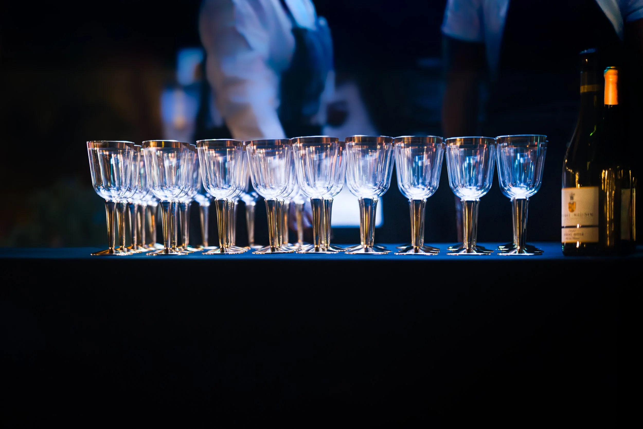 ABHTA's Fundraiser 2024-55.jpg