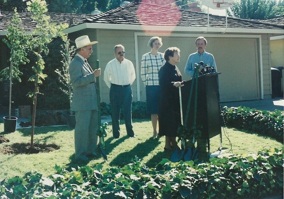 1990s.jpg