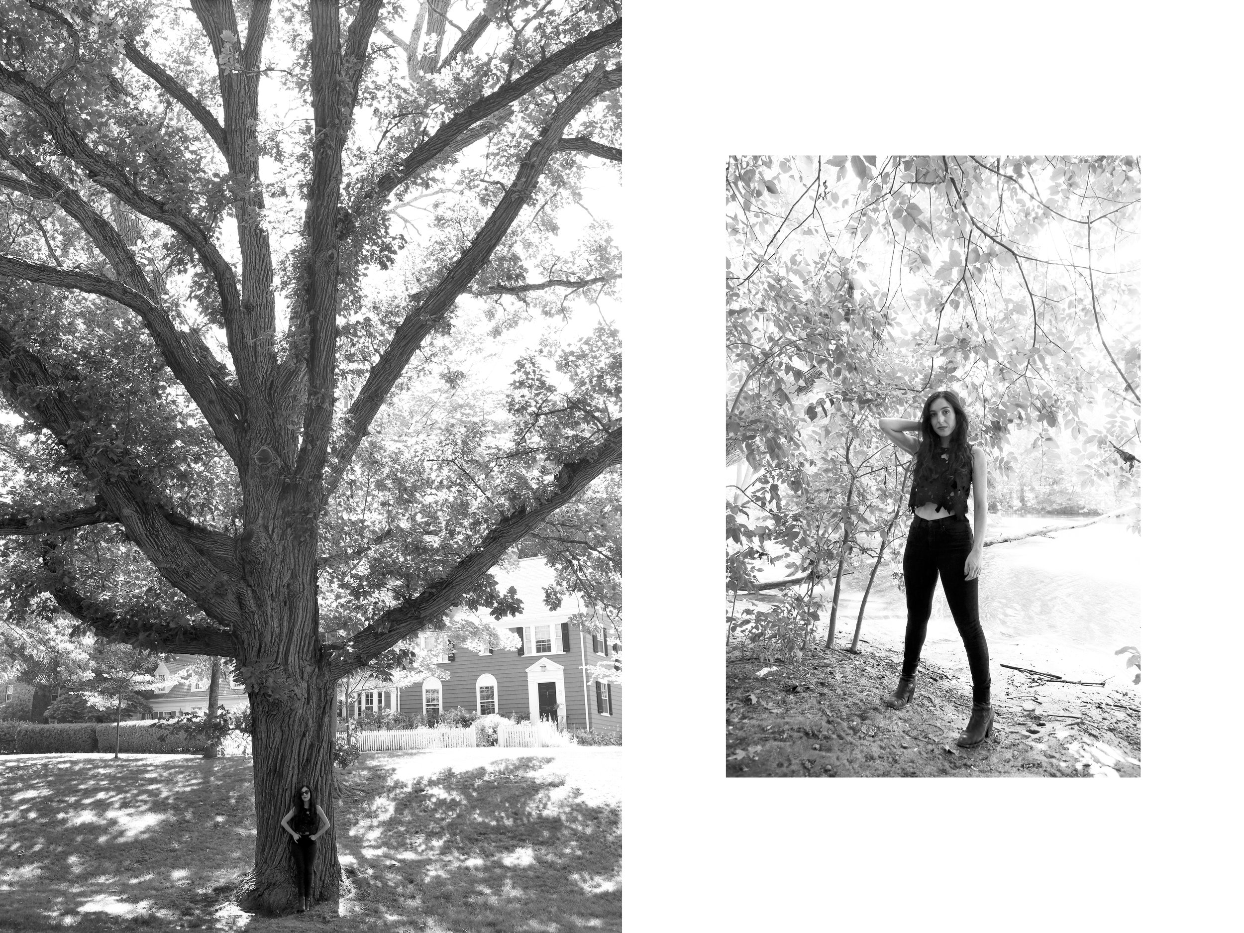 DP-Marissa Nadler Big Tree x2.jpg