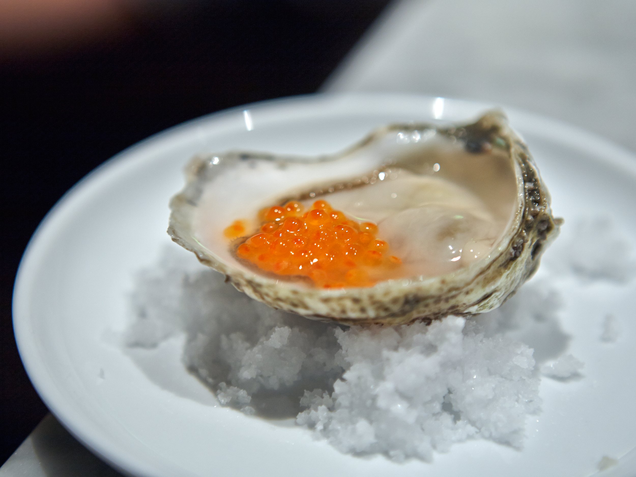 IM-DP16-Oyster and Roe.jpg