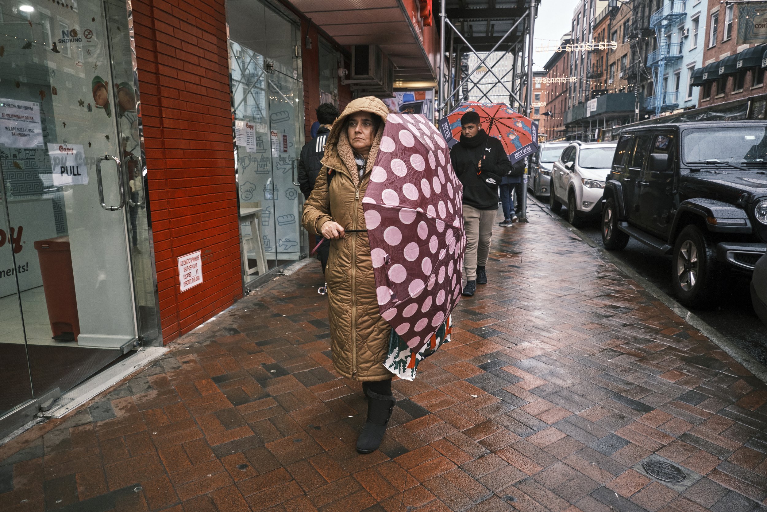 NYC 12-22-22 (Chinatown) 201.jpg