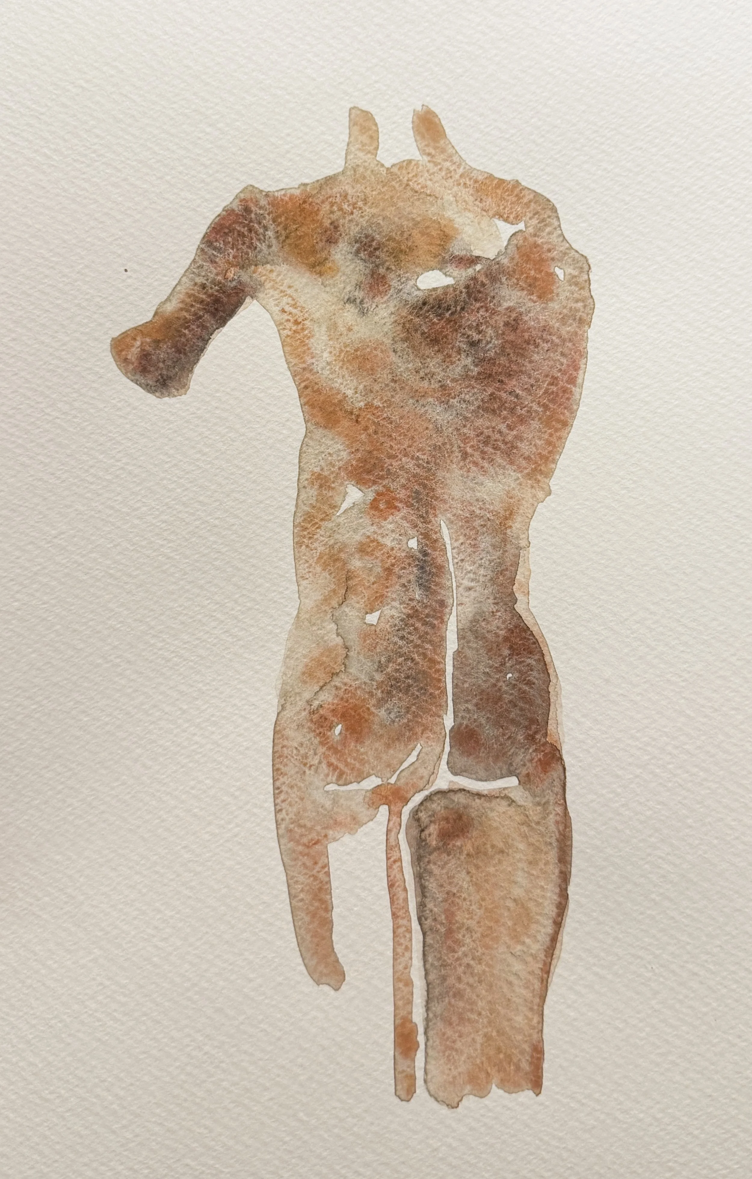 Hansford_BackOfDan_WatercolourOnPaper.jpg.jpg