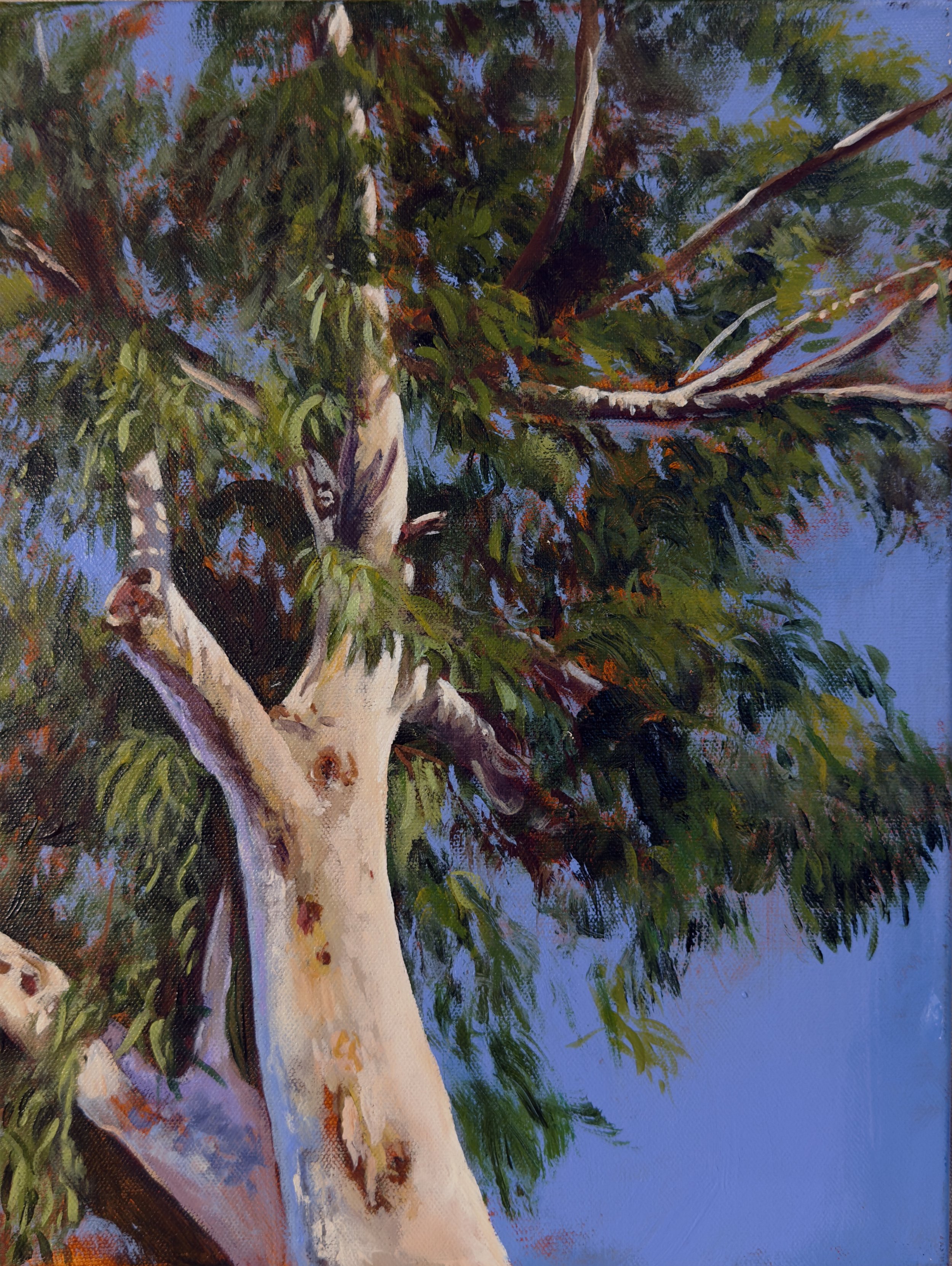 Laura_Hardie_Acrylic_2026 (1).jpg