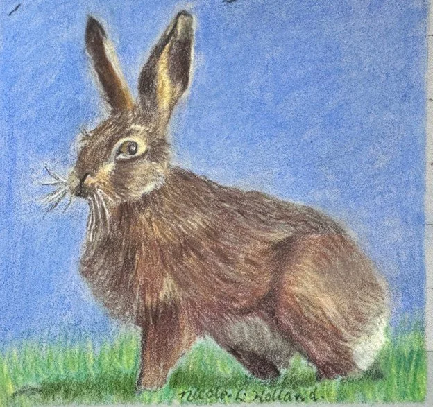 Holland_Hare About_Polychromo Pencils.jpg