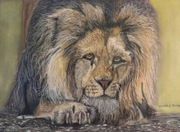 Holland_Leo_Pastel+Pencils.jpg