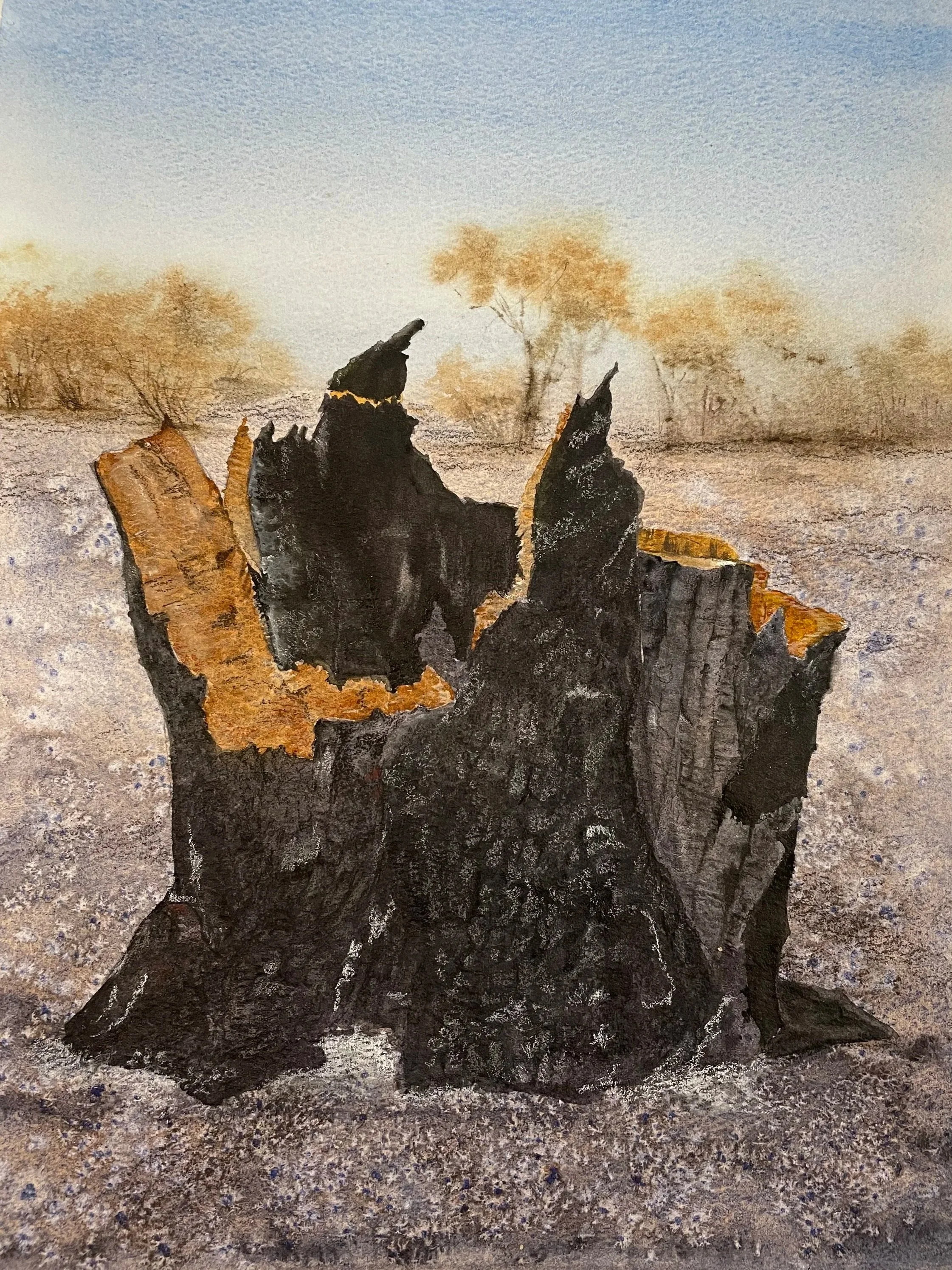Holl_HarcourtFires_MixedMedia.jpg