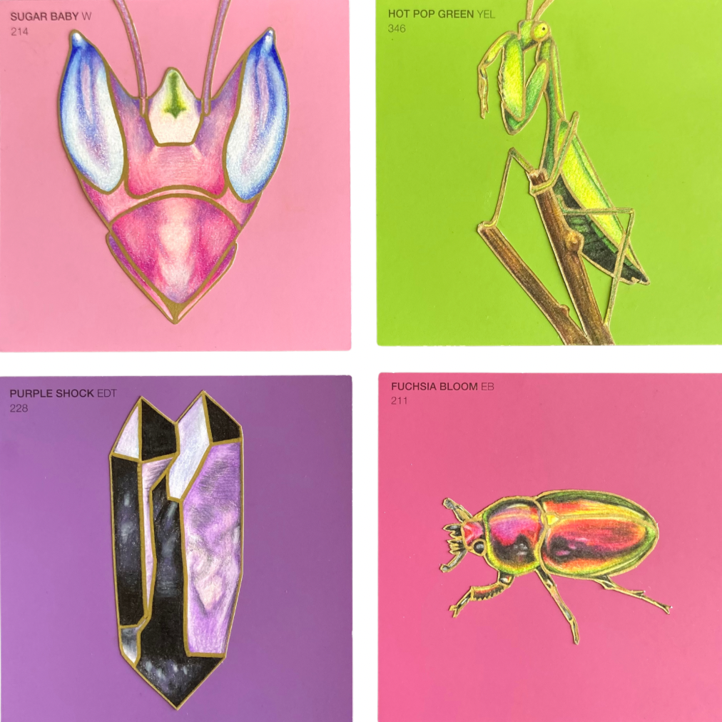 Rhayven+Jane_Swatch+This+Space+%28Swatches%29_Coloured+Pencil+Collage+on+Paint+Swatches.png