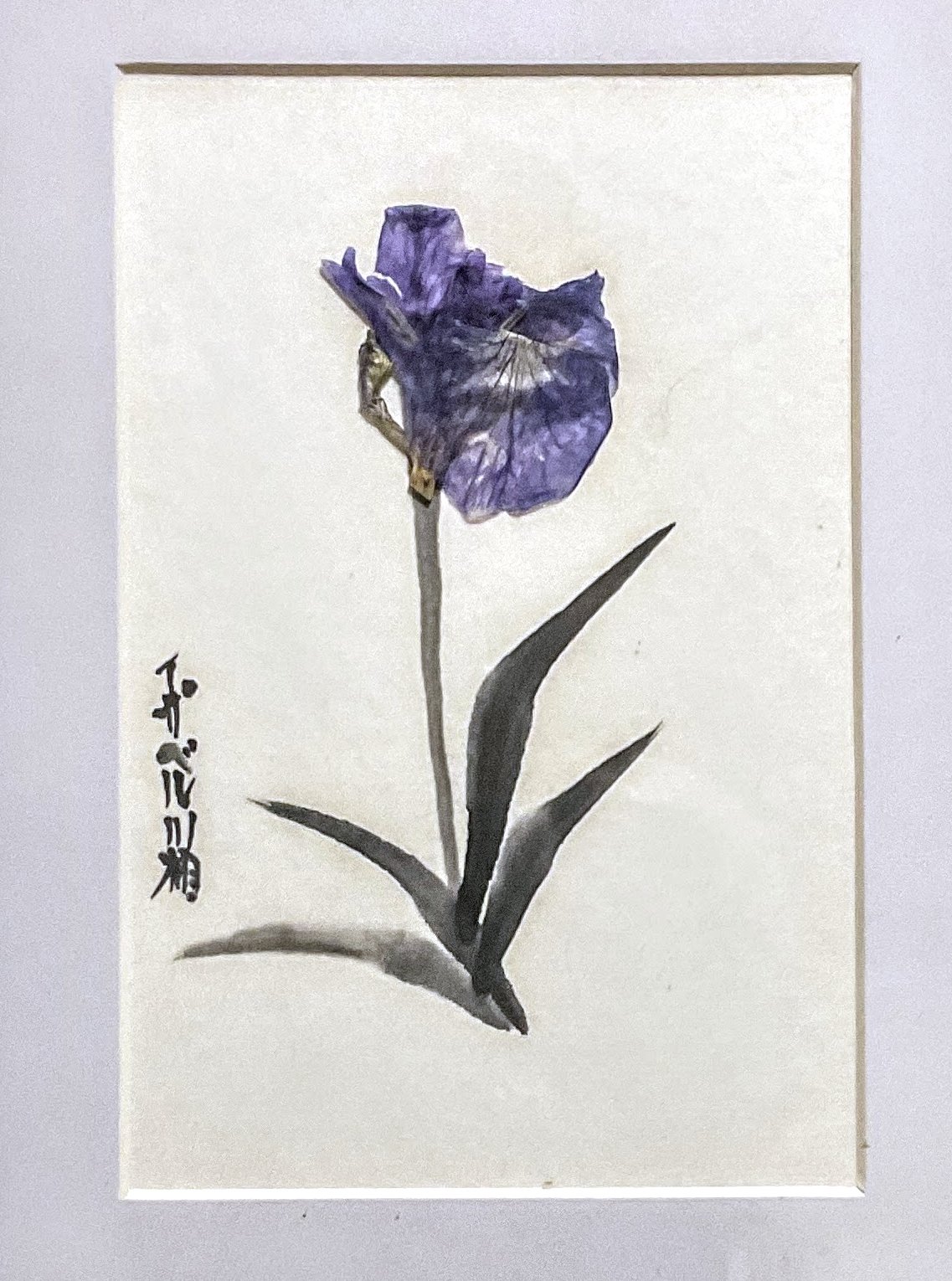 Kawai Vincent_Orchid Bloom_Mix medium .jpg