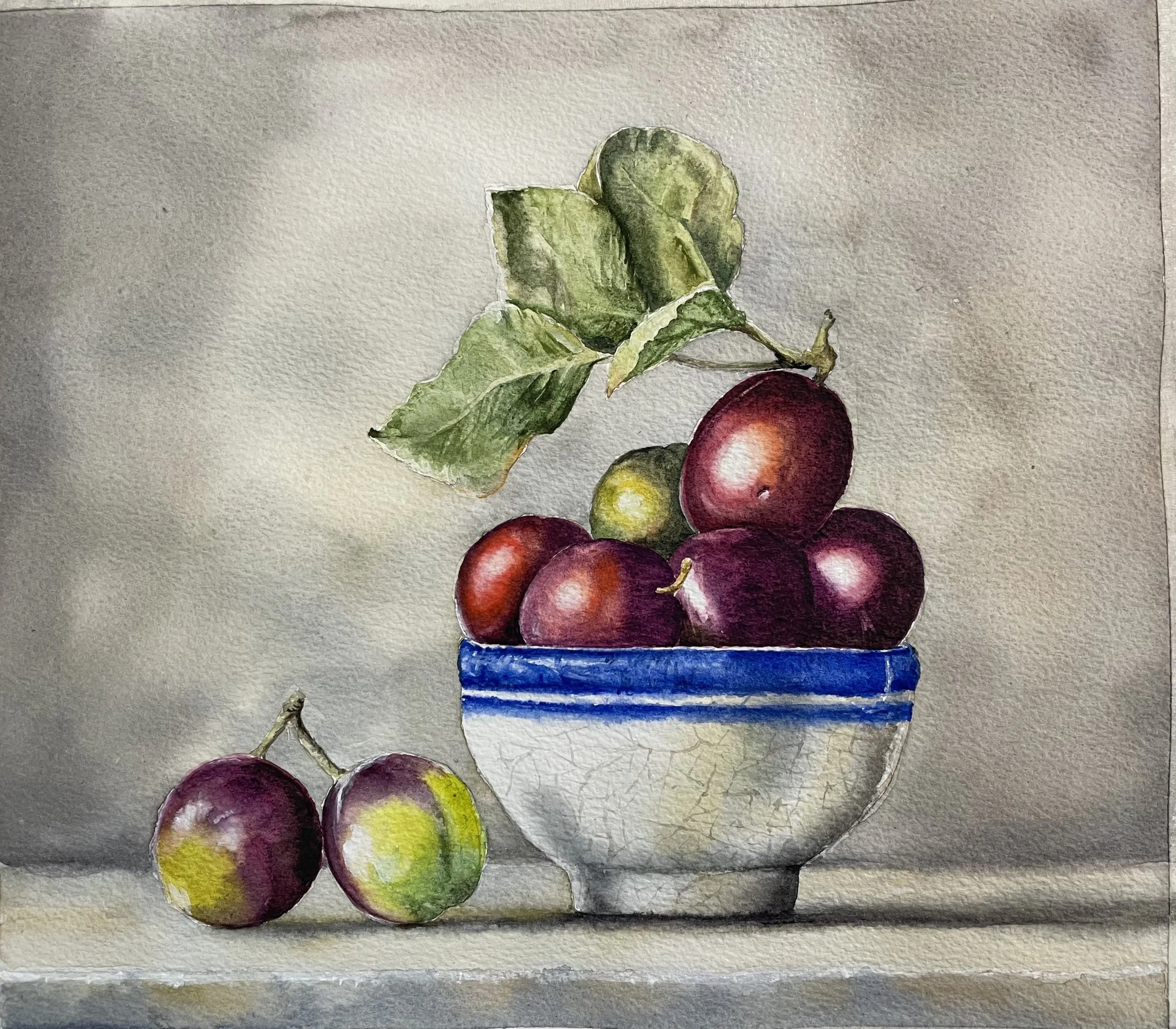 Holl_Plums_Watercolour.jpg