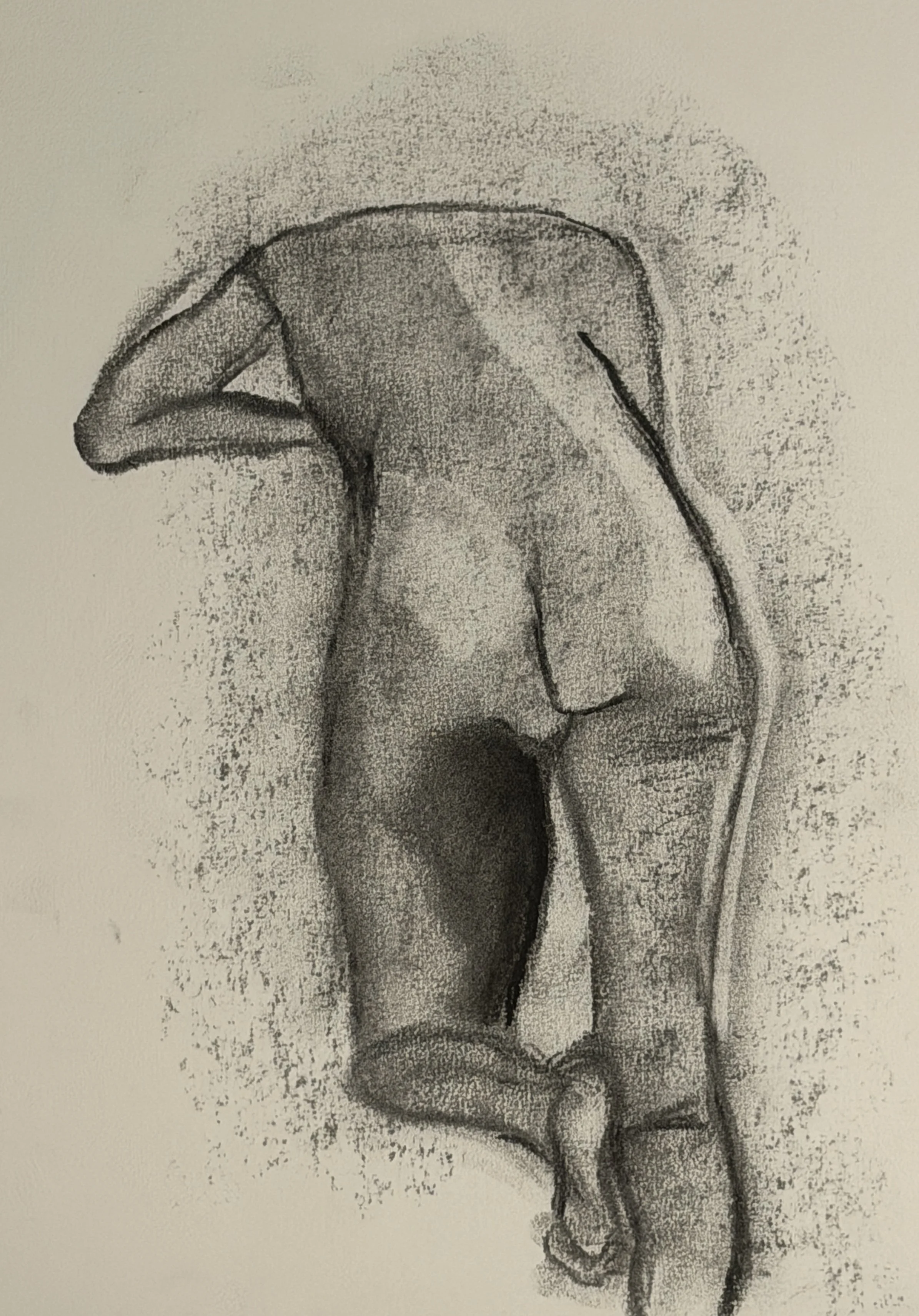 Hansford_Julianne_CharcoalOnPaper.jpg.jpg