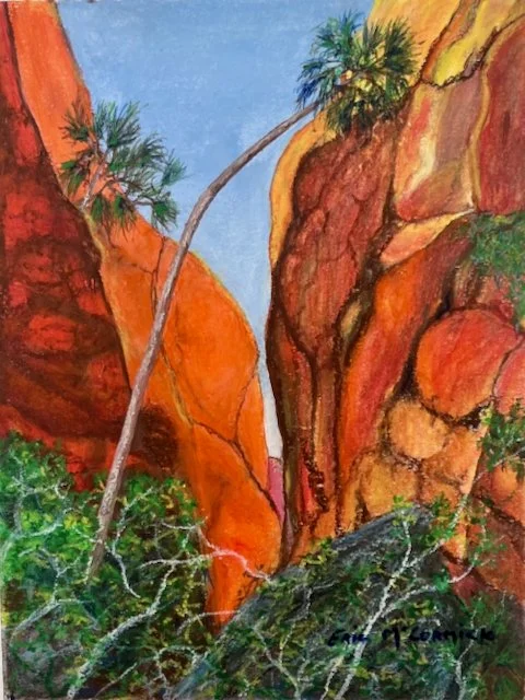 McCormick Echidna Chasm OIl Pastel  jpg.jpeg