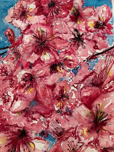 Sommerfield Japanese Blossom Watercolour.png