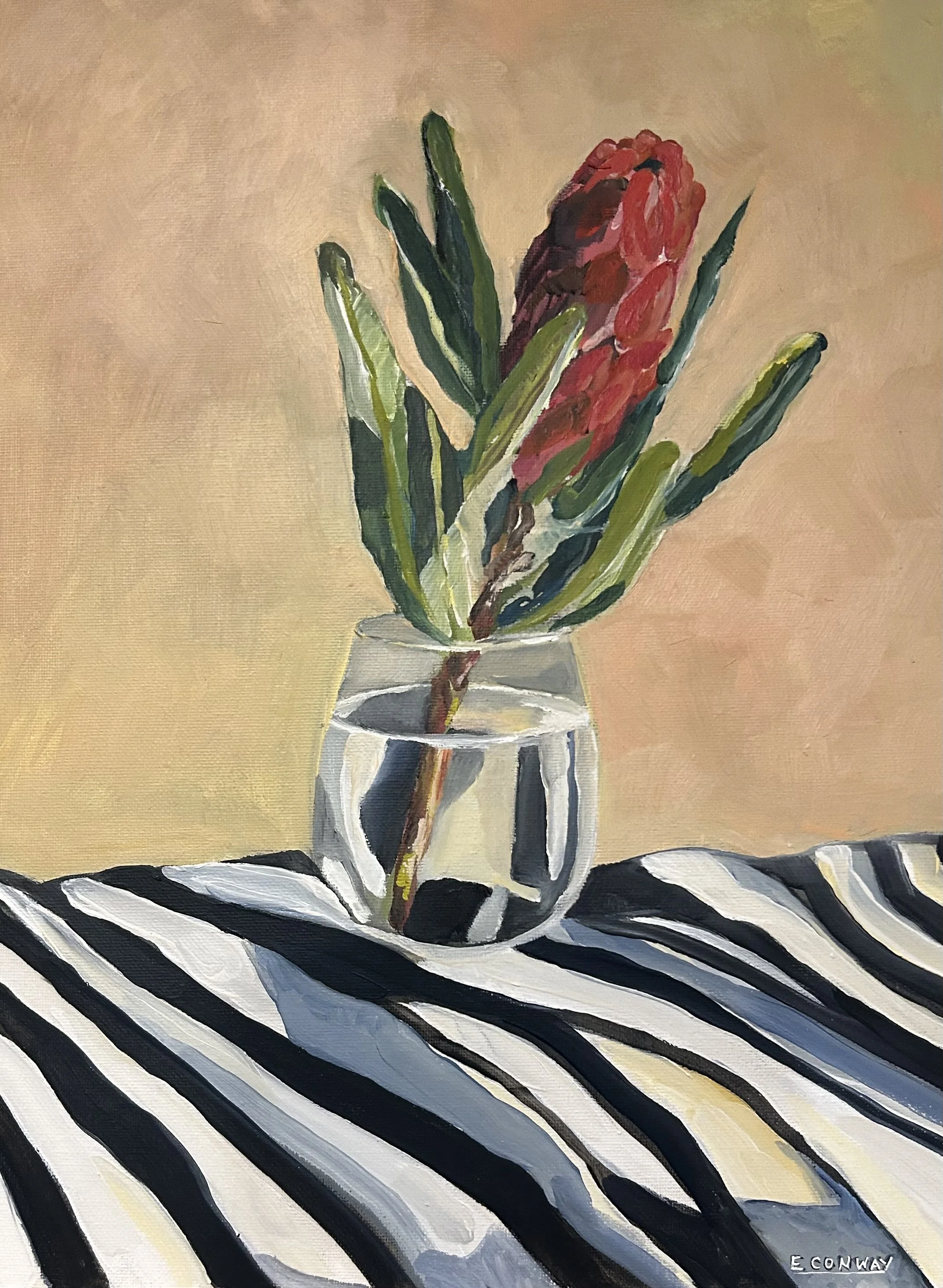 conway_protea_oil.jpg