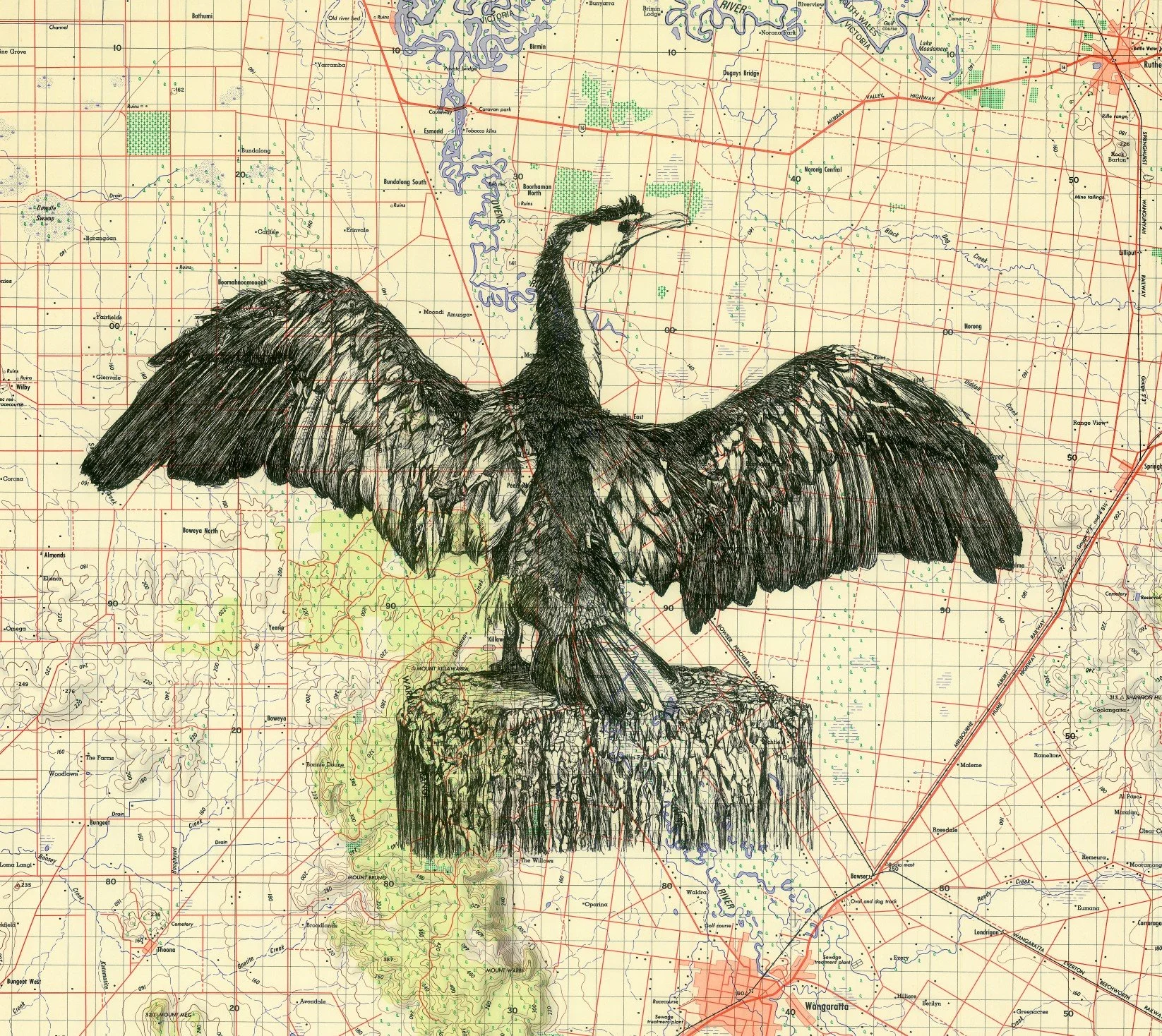 Alicia Thomas_Wangaratta Map_ ink drawing on vintage map.jpg