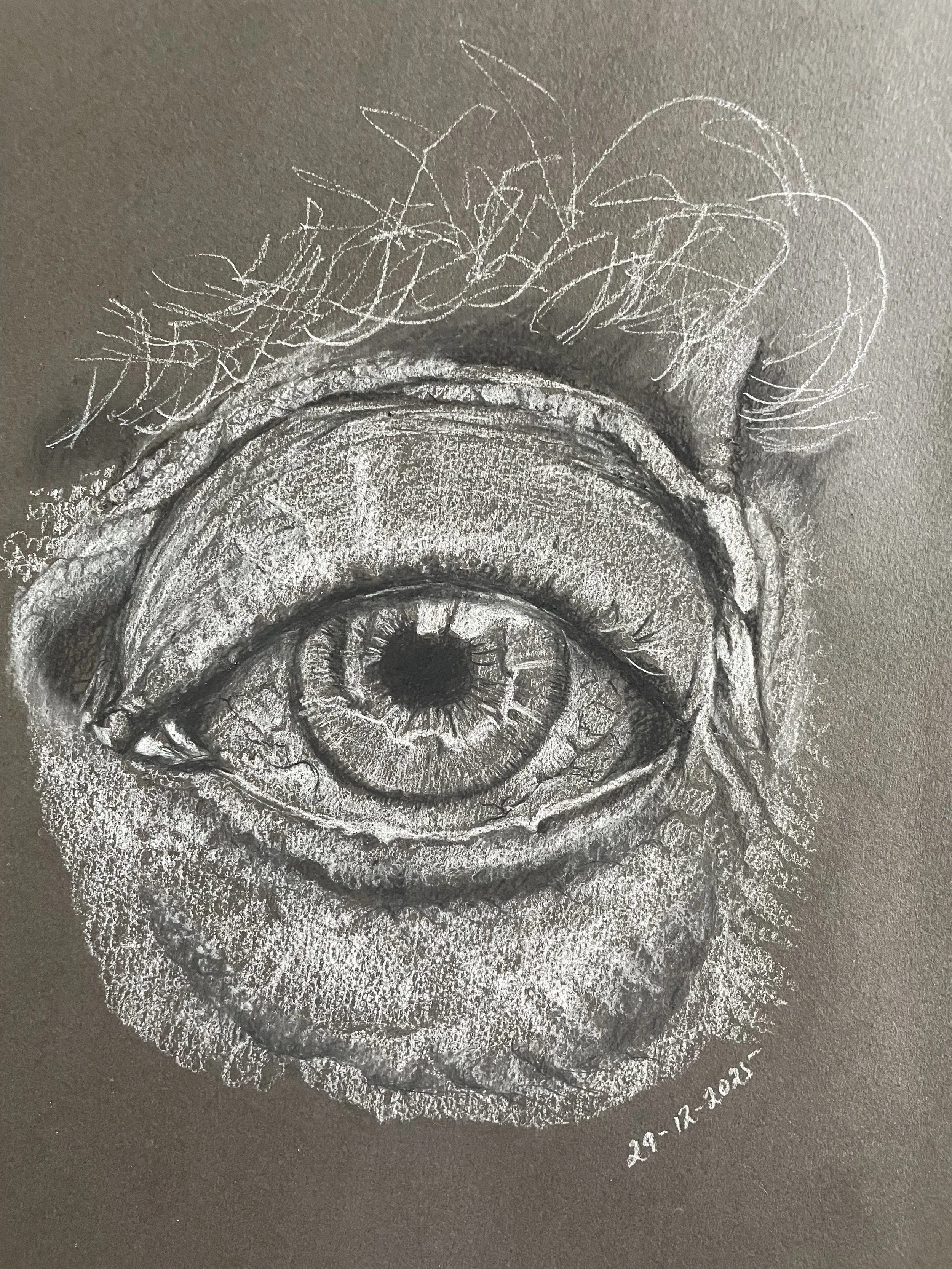 Holl_Eye_WhiteCharcoal.jpg