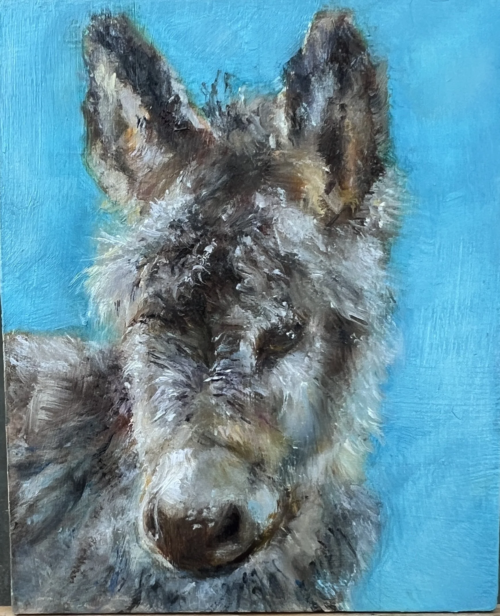 Windust-Donkey-Love-Oil-Painting.jpg