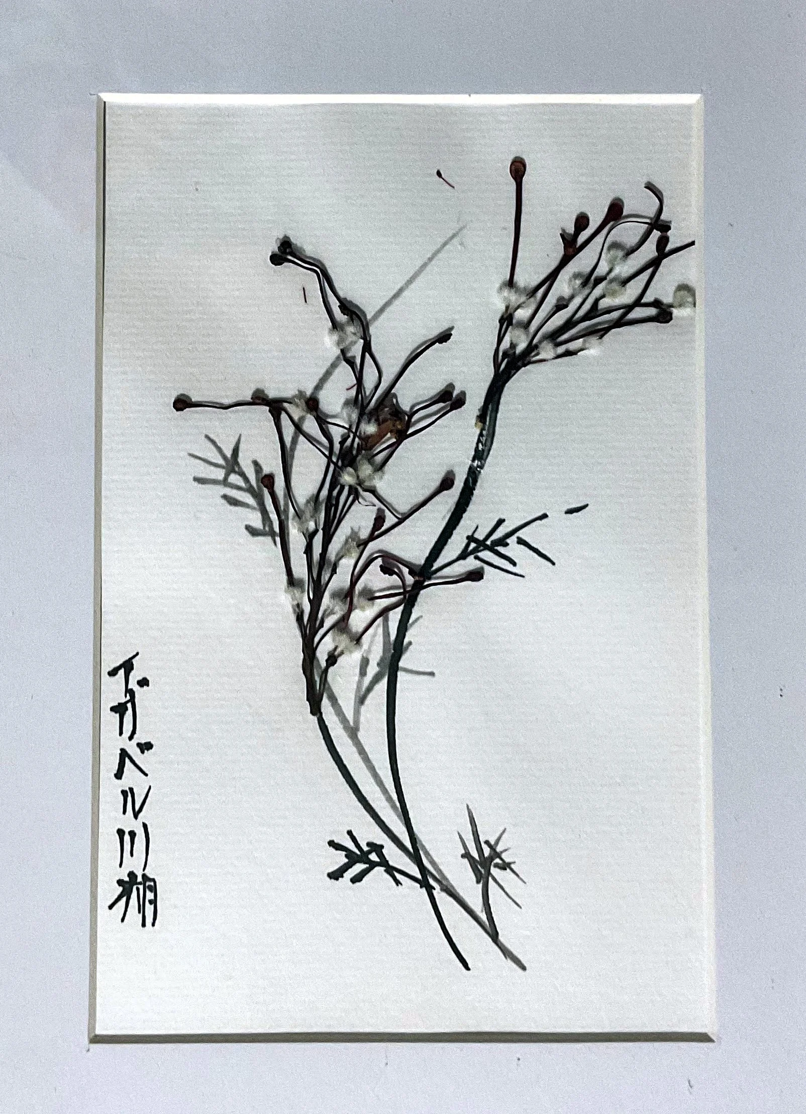 Kawai Vincent_Stamen Obsession _Mix medium .jpg