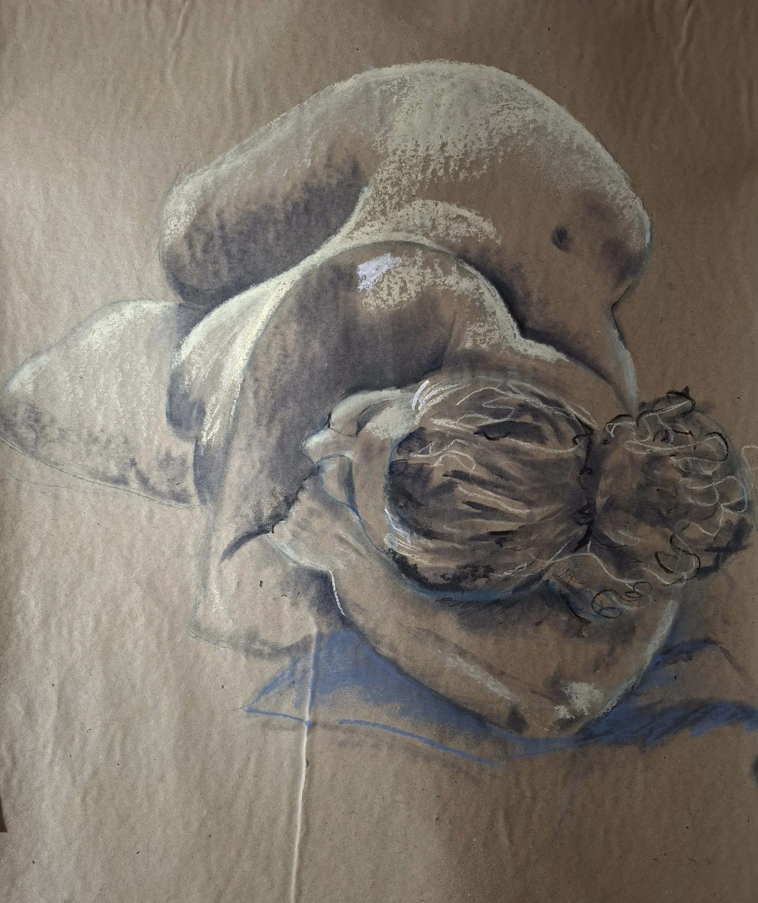 Holmes_Courtney Life drawing_charcoal,n pastel.jpg.jpg