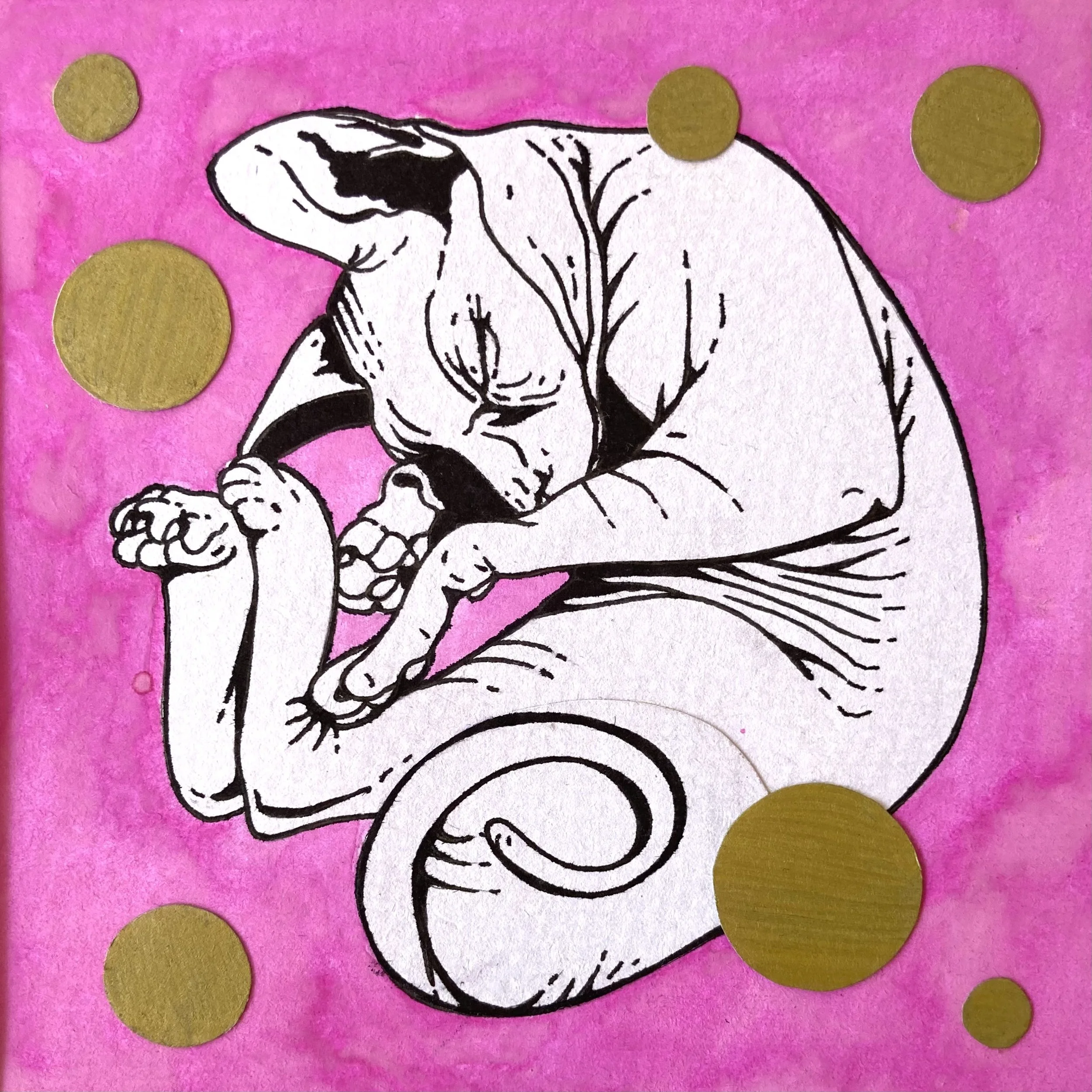 Rhayven Jane_Cat Nap_Mixed Media.jpeg