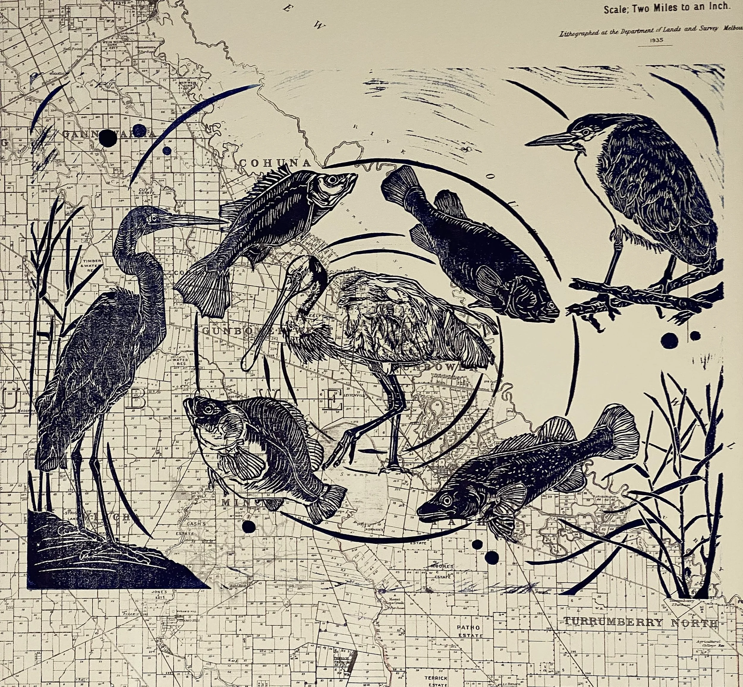 Alicia Thomas_Gunbower wetland whispers_linocut on vintage map.jpg