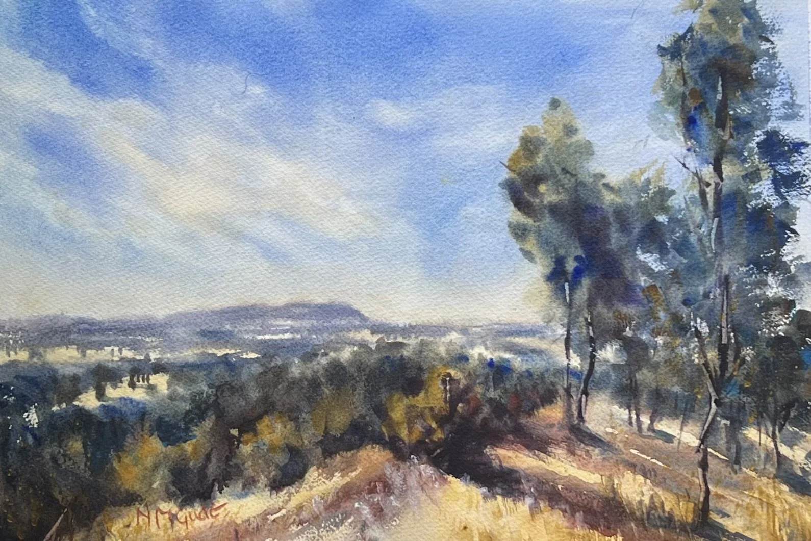 Gude_Toward Mt Alexander_Watercolour.jpg