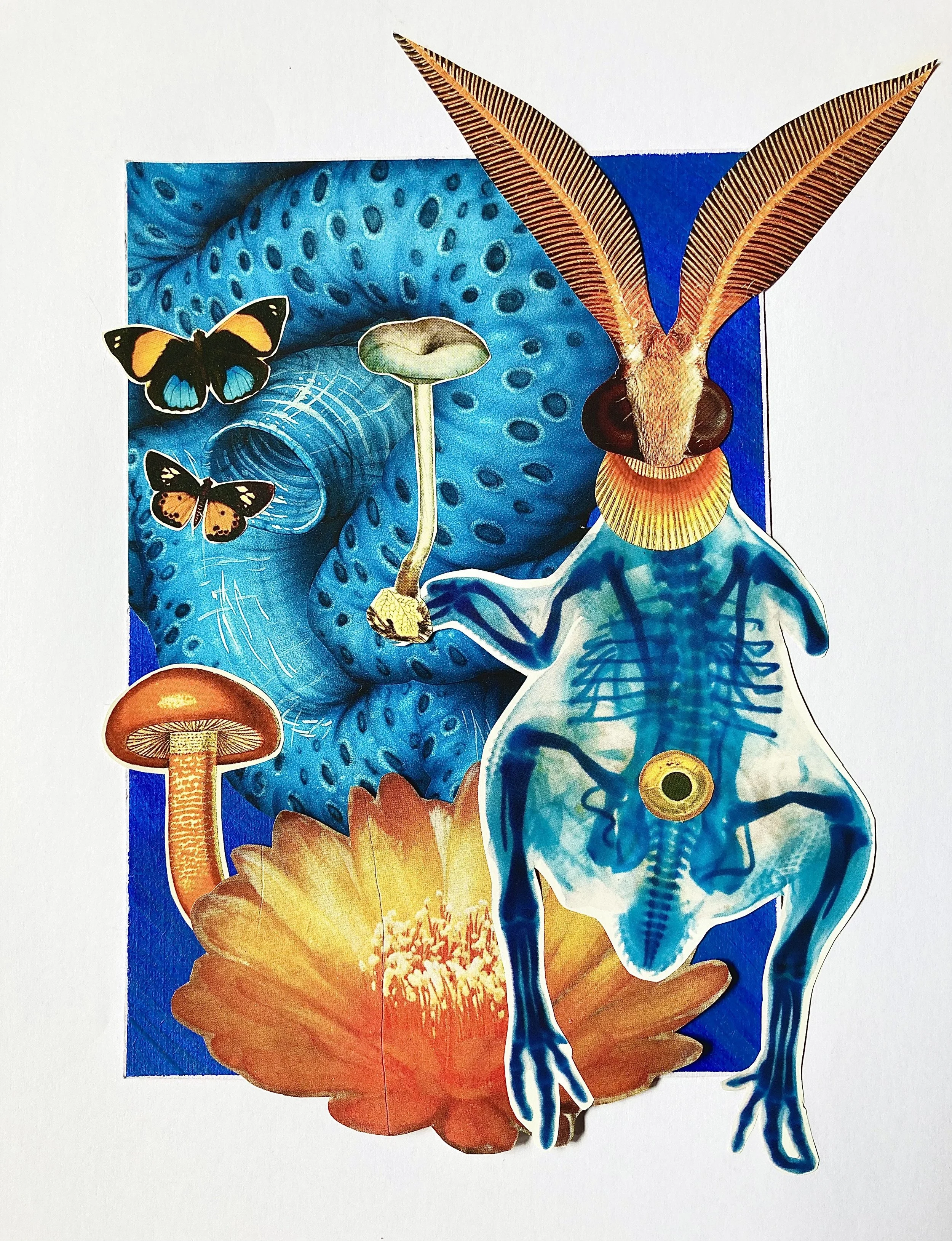 Rhayven Jane_Strange Little Specimen_Collage.jpeg