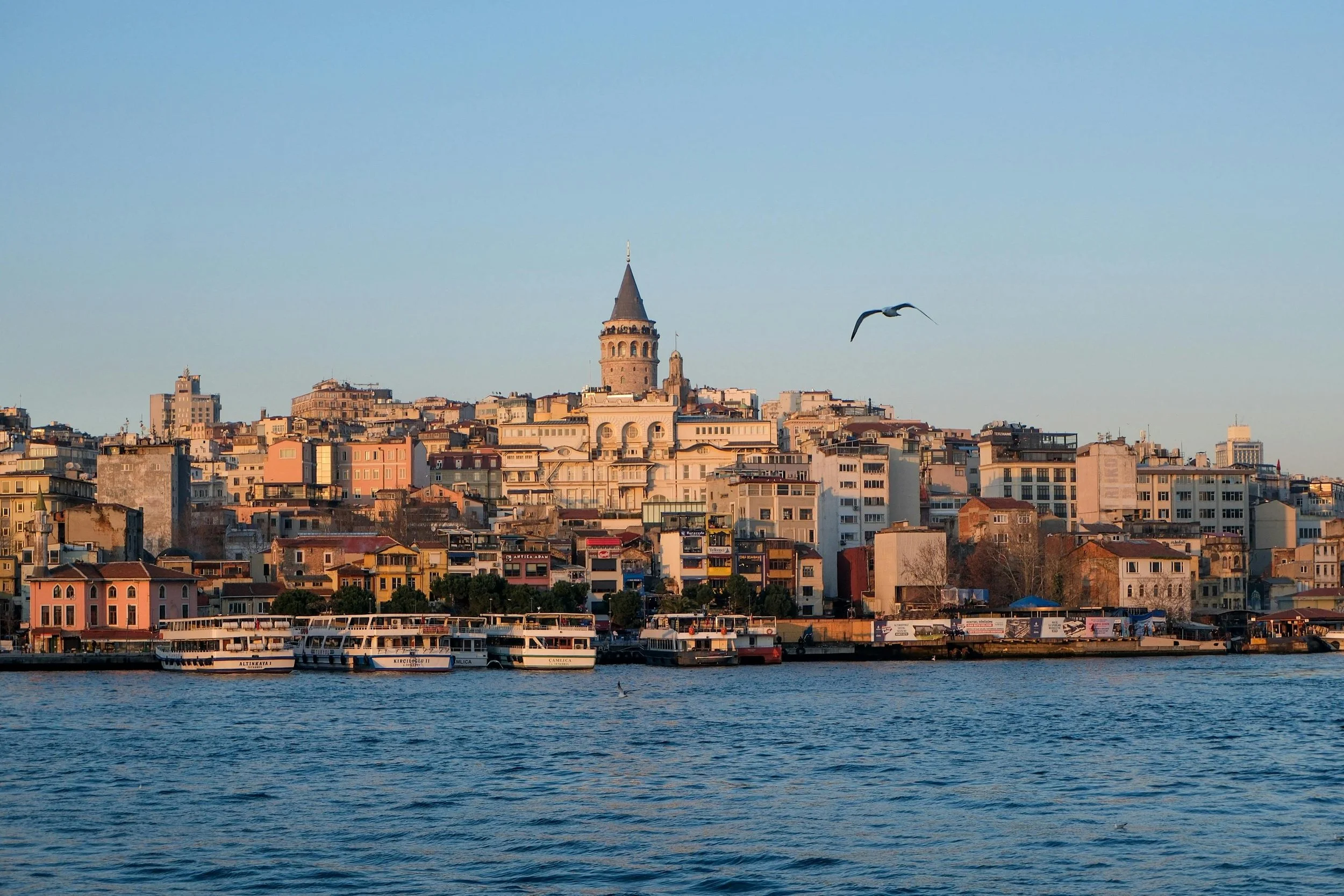 Up next: Open House festivals in Istanbul, Basel, Lisbon, and Rosario