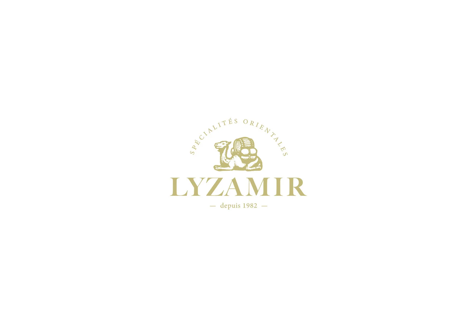 LOGO Lyzamir.jpg
