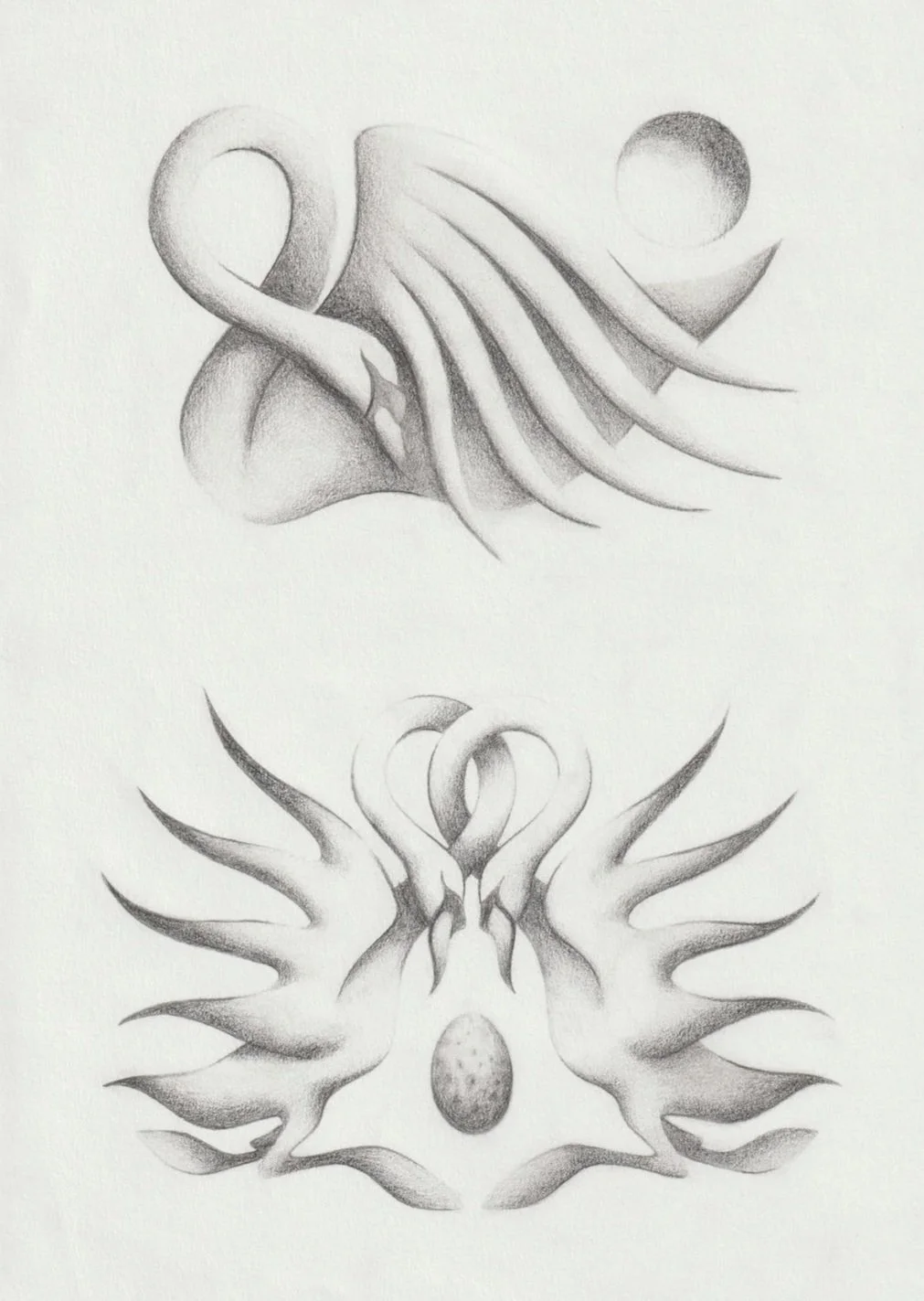 swan-sketches.jpg