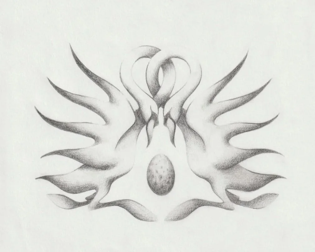 swan-sketches.jpg
