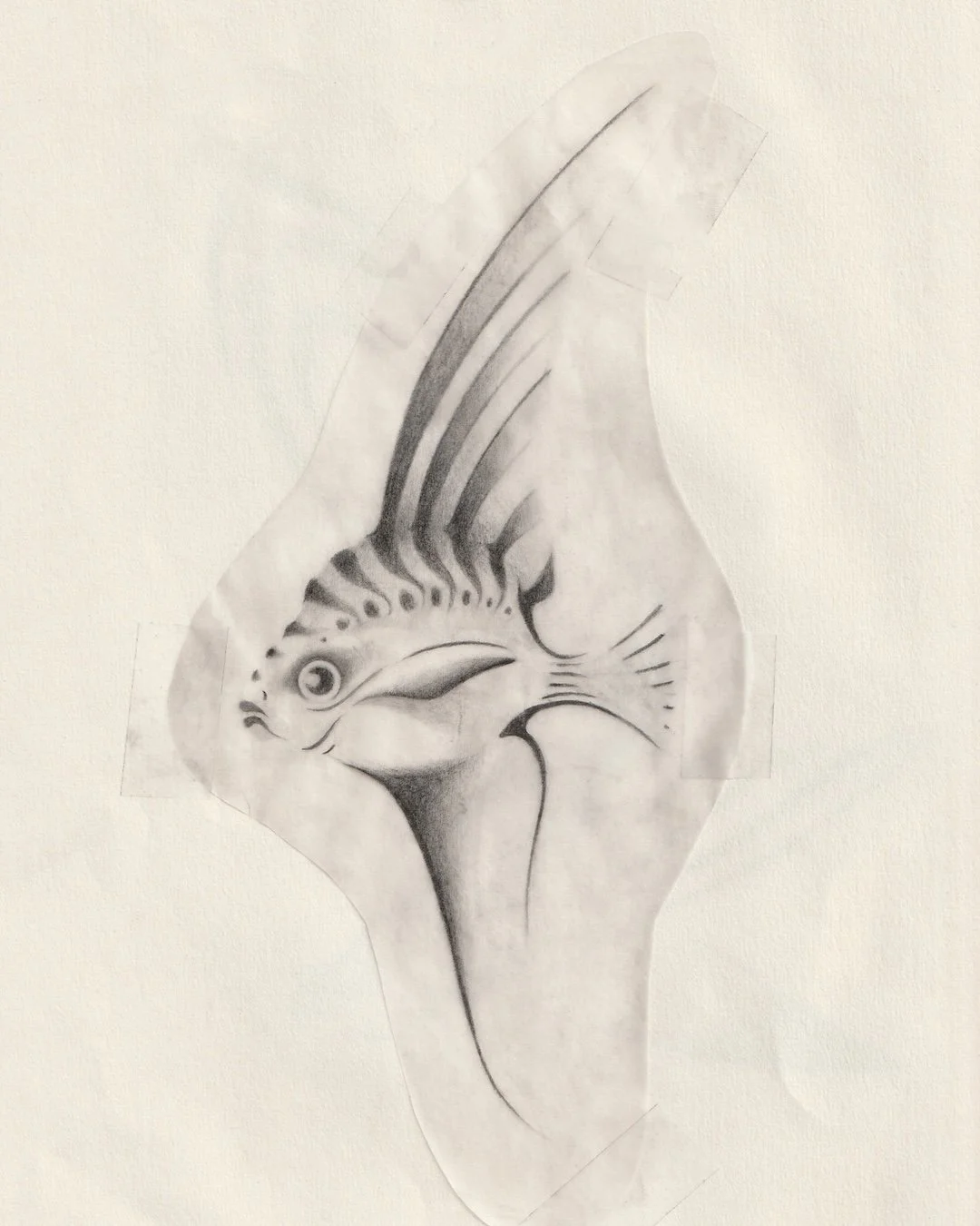 Angel fish copy.JPG